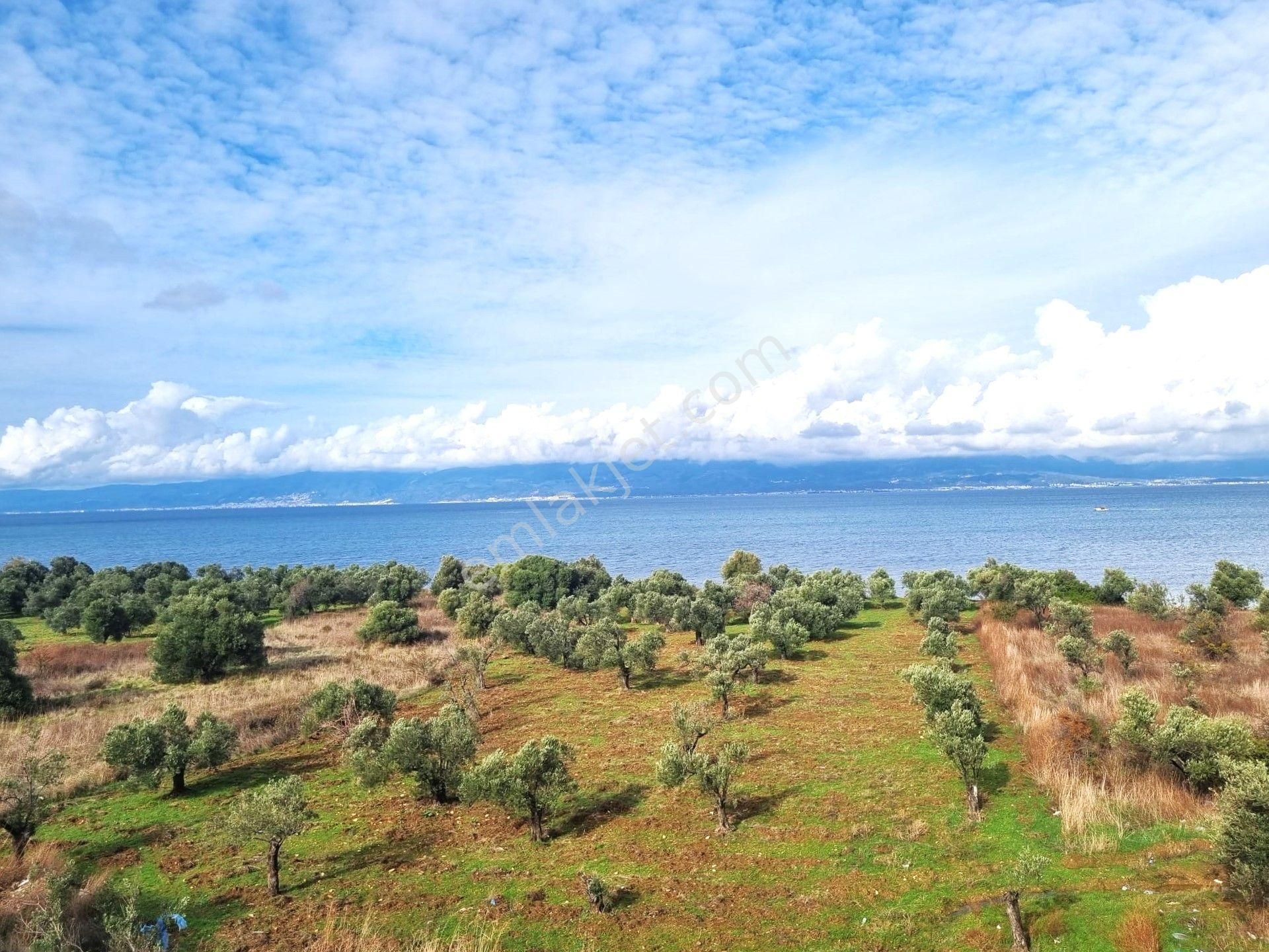 💥burhaniye Pelitköy'de💥denize Sıfır Nezih Site İçi Deniz Manzaralı Sıfır 5+1 Lüks Satılık Villalar - Görsel 35