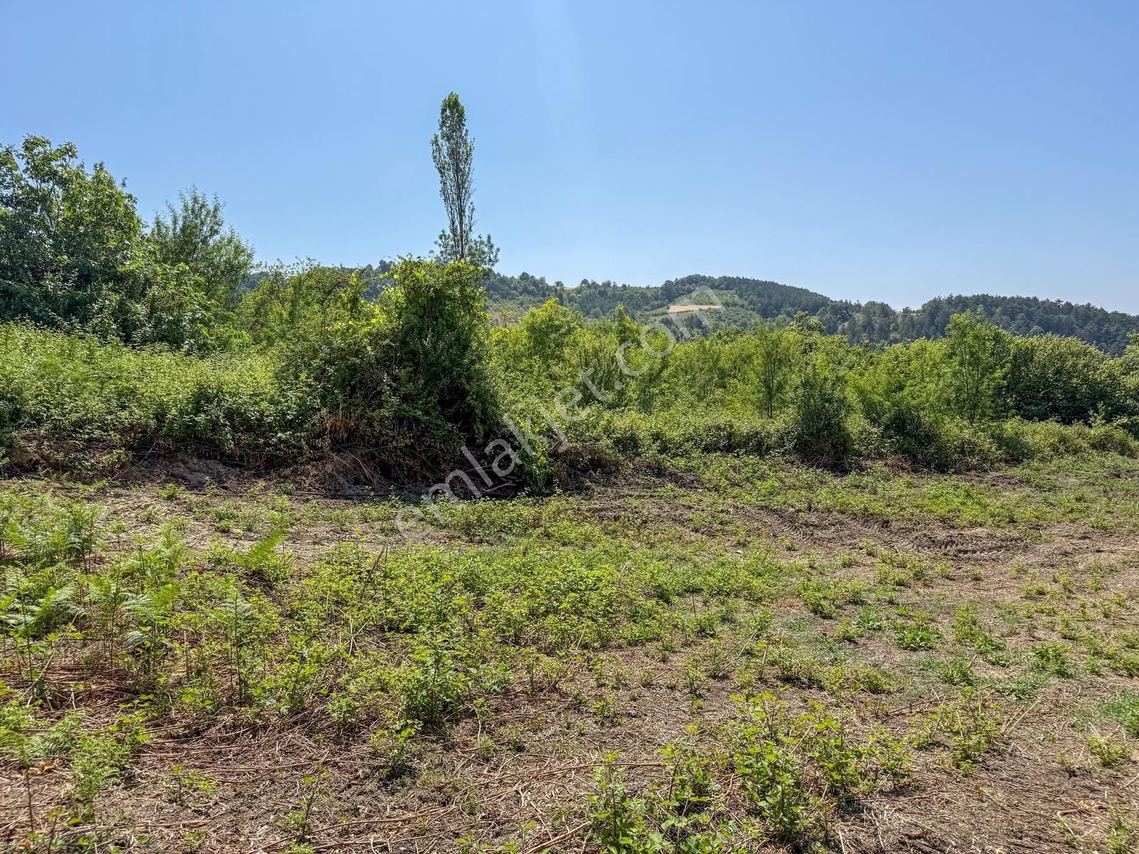 Bursa Mustafakemalpaşa Köyiçinde 700 M² İmarlı Müstakil Arsa - Görsel 31