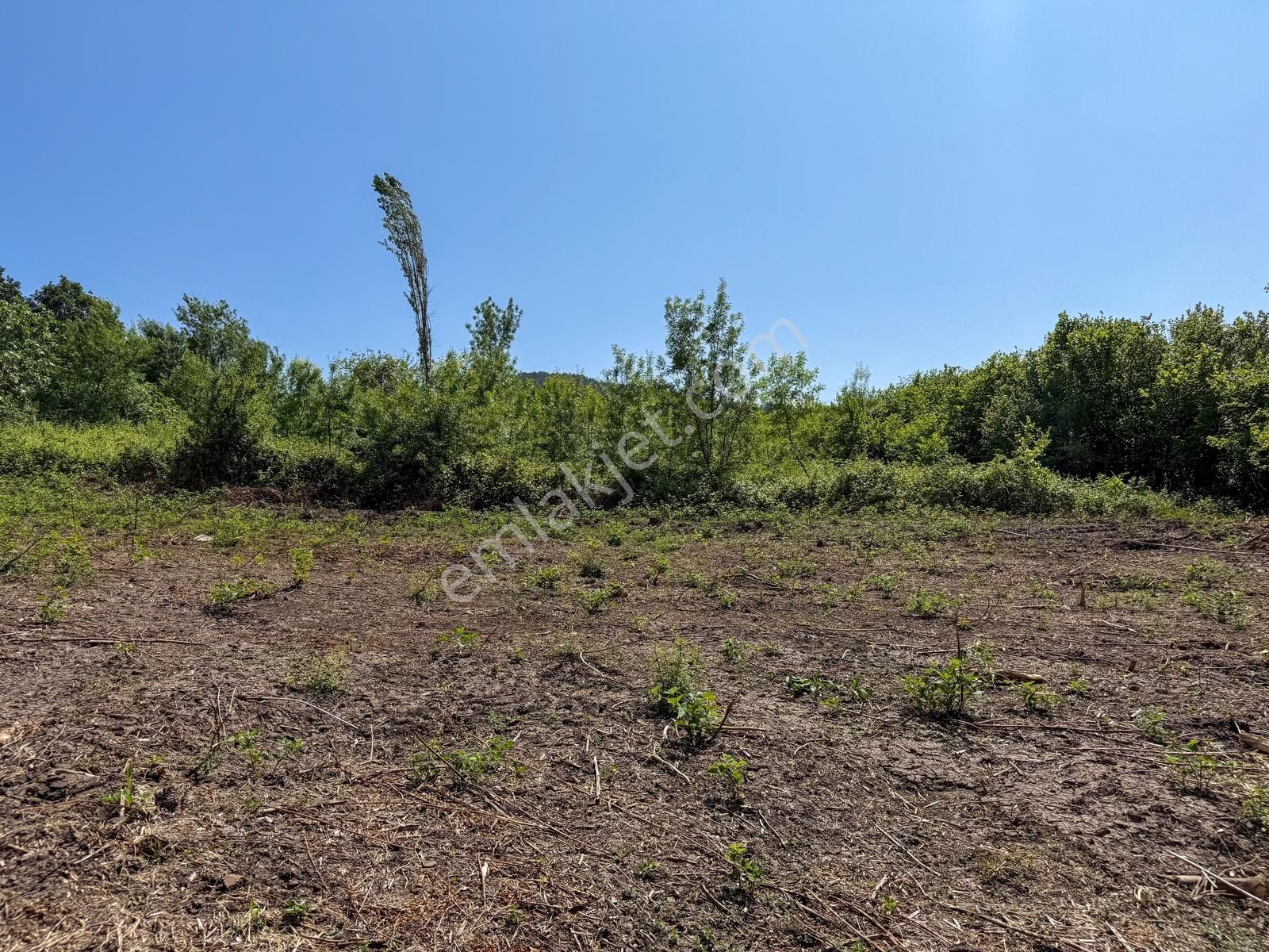 Bursa Mustafakemalpaşa Köyiçinde 700 M² İmarlı Müstakil Arsa - Görsel 21