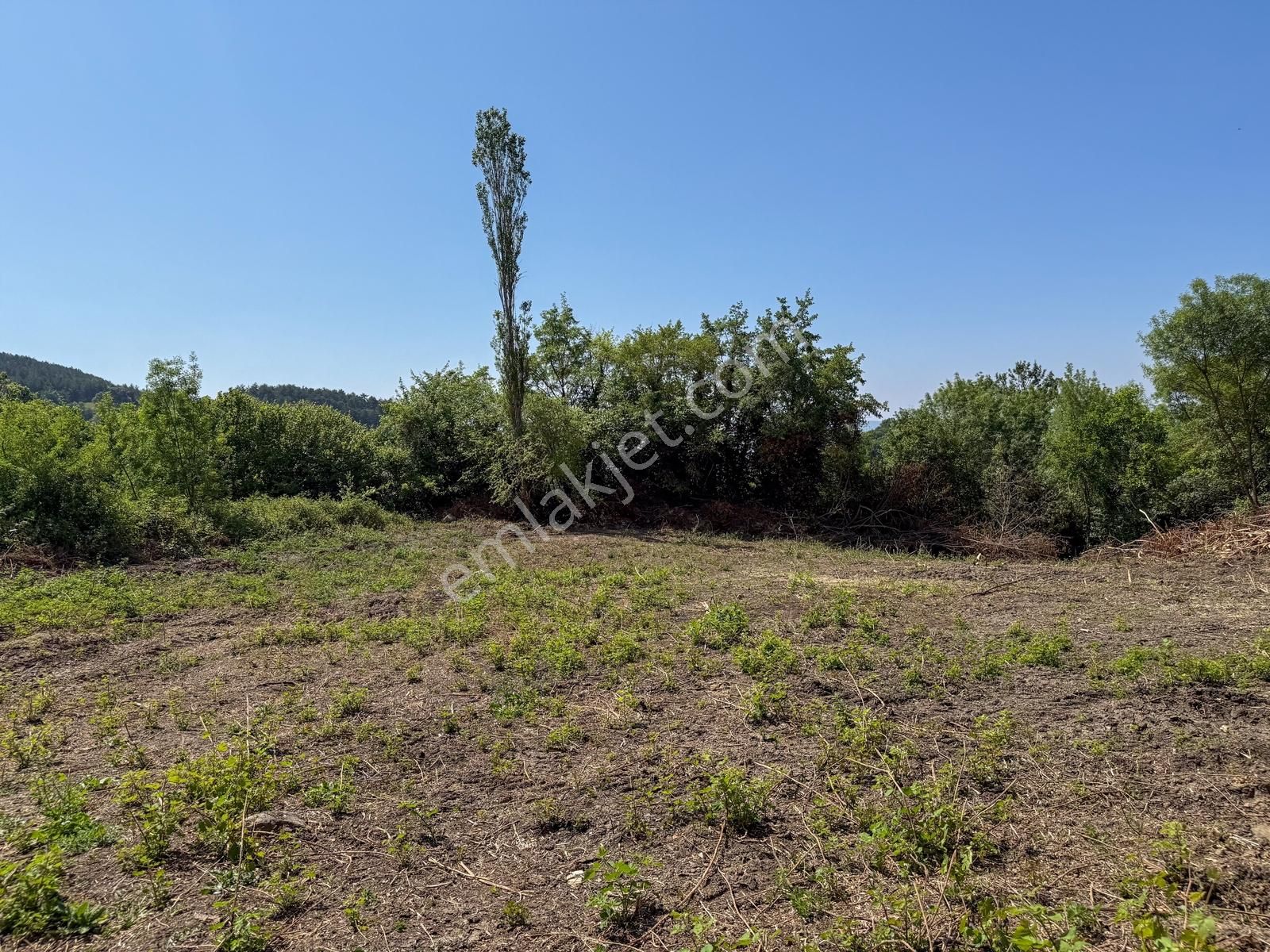 Bursa Mustafakemalpaşa Köyiçinde 700 M² İmarlı Müstakil Arsa - Görsel 6