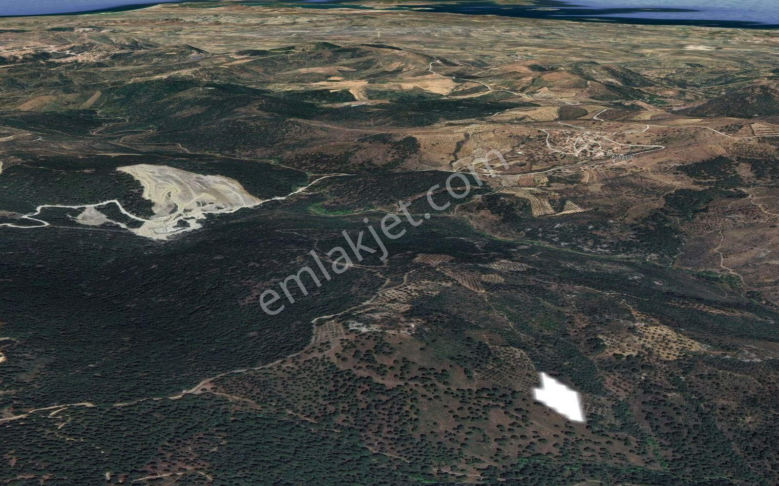 Golden Globy, Burhaniye Hacıbozlar'da Satılık 4.120 M2 Zeytinlik - Görsel 6