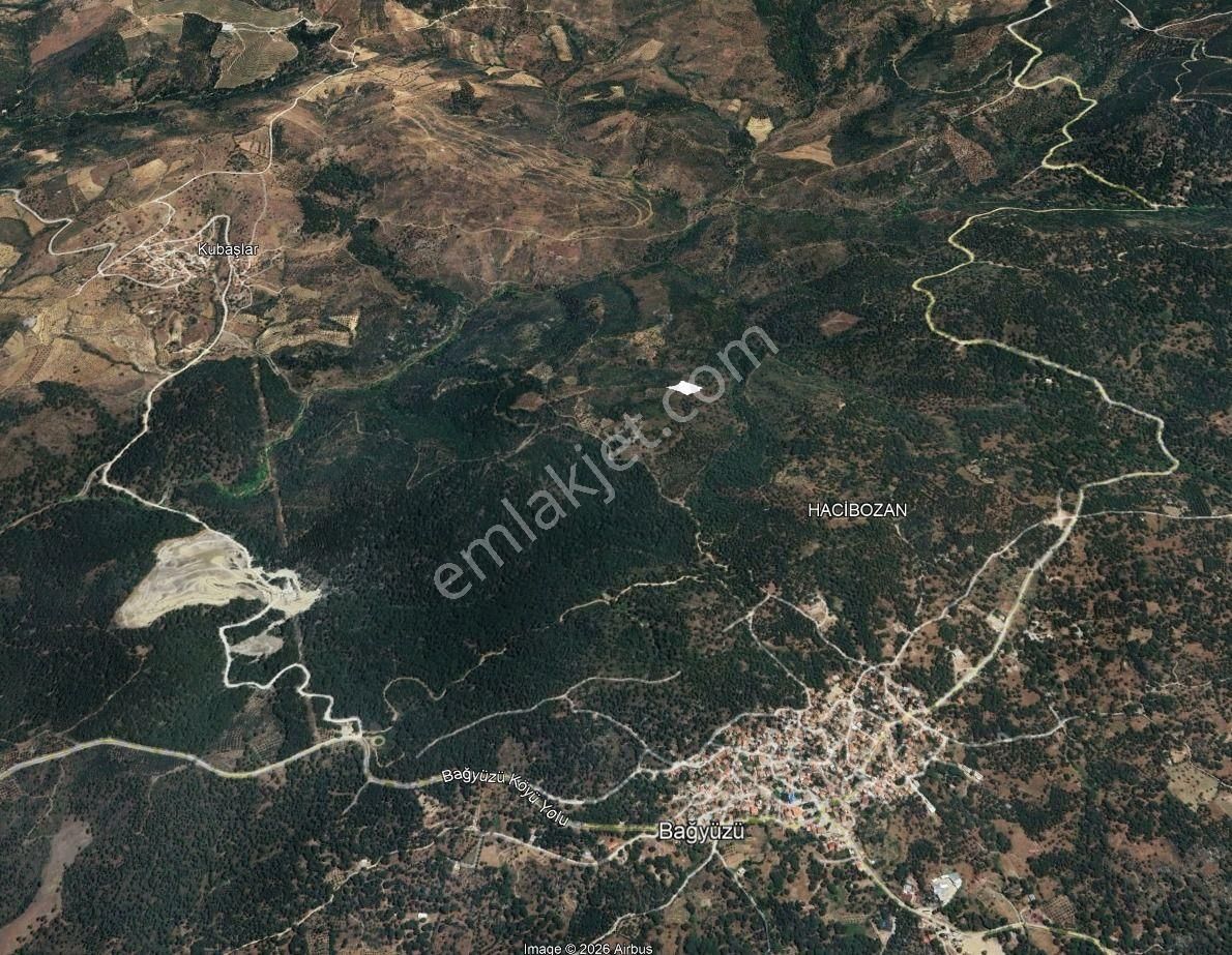 Golden Globy, Burhaniye Hacıbozlar'da Satılık 4.120 M2 Zeytinlik - Görsel 5