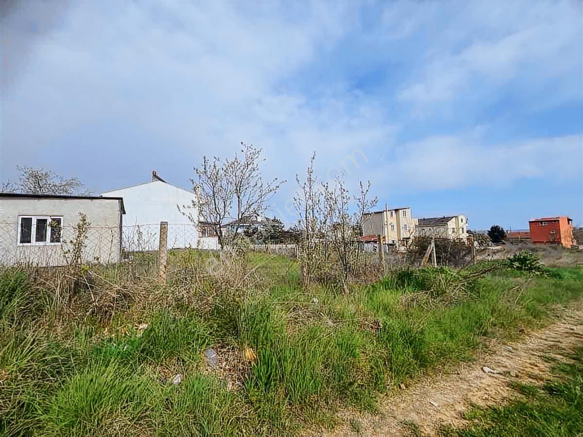Anayol Yanı Tekirdağ Yenice Mah.imarlı Satılık Arsa - Görsel 6