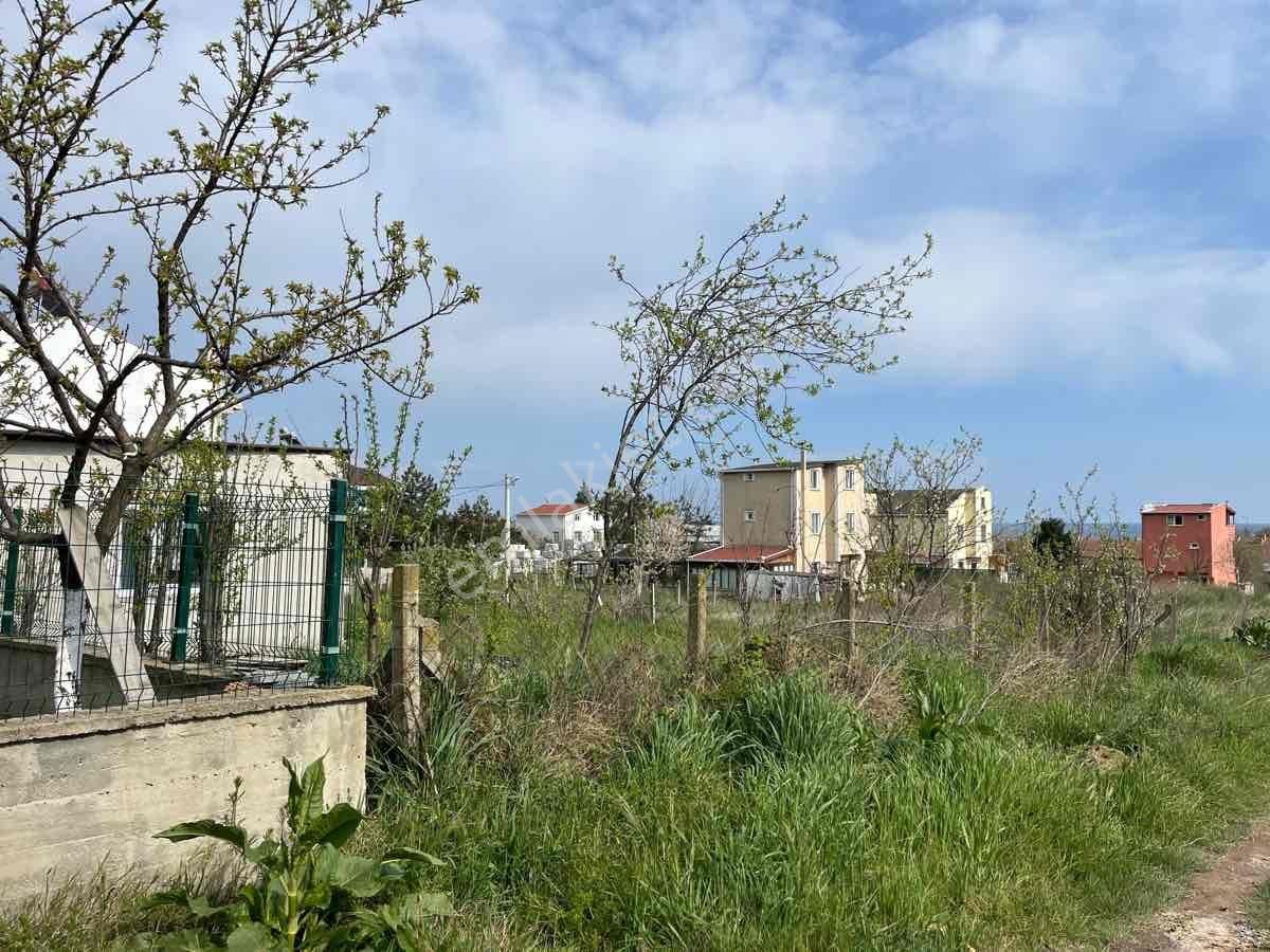 Anayol Yanı Tekirdağ Yenice Mah.imarlı Satılık Arsa