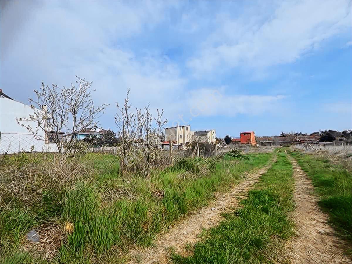 Anayol Yanı Tekirdağ Yenice Mah.imarlı Satılık Arsa - Görsel 4