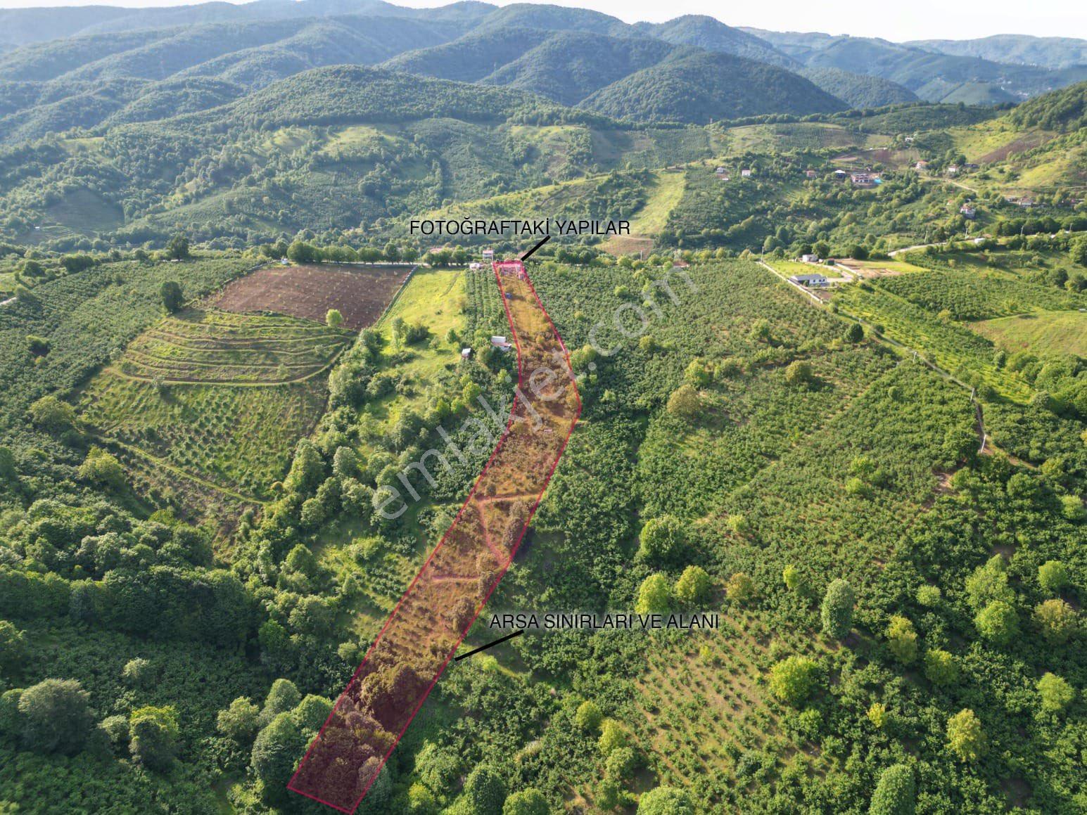 Sakarya Hendek 8.300 M2 Arsa İçinde Ultra Lüks Havuzlu Malikane - Görsel 3