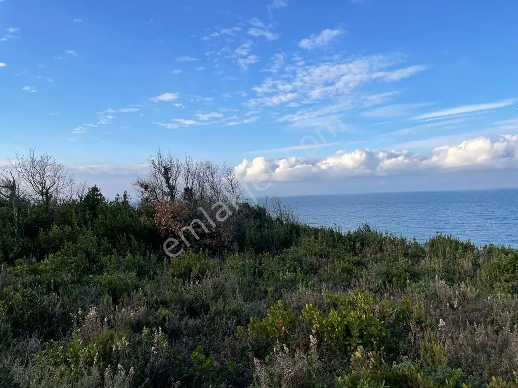 Beykoz Riva Denize Sıfır Yatılırımlık Konut + Turizm İmarlı Kupon Arsa - Görsel 4