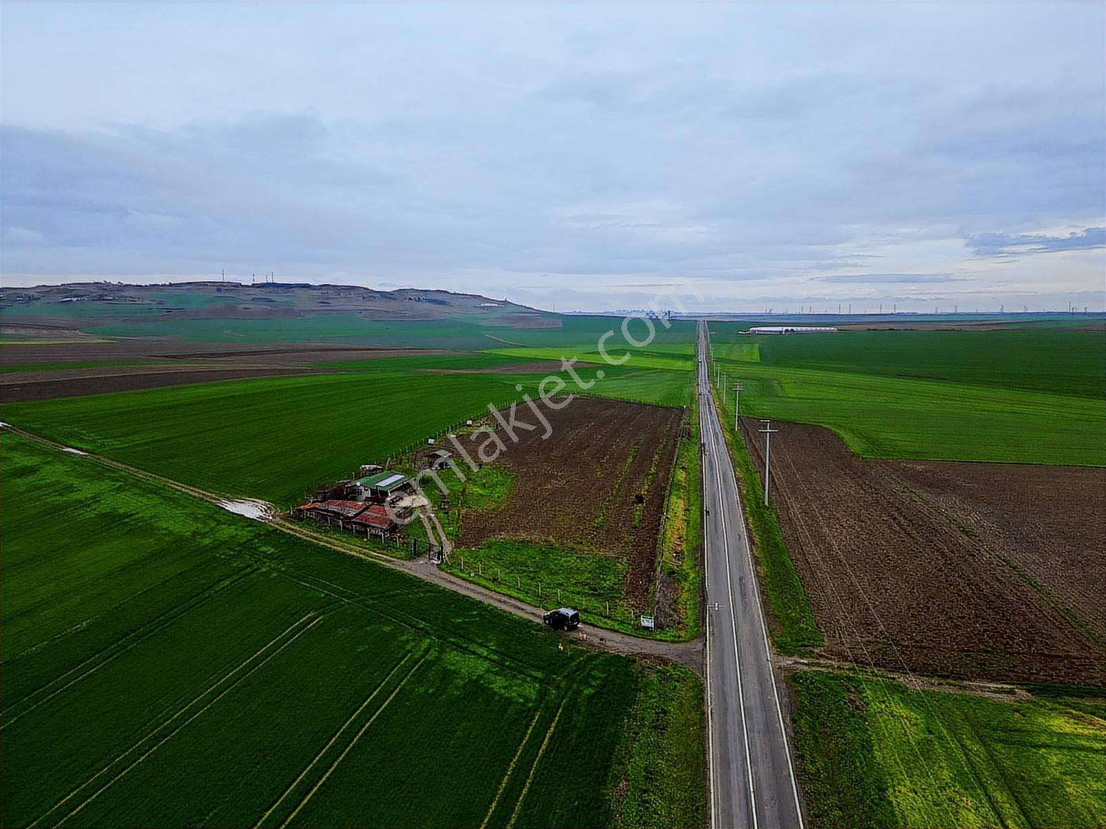 Çorlu Yenice Köynde Asfalta Cephe Satılık Ceviz Ve Meyve Bahçesi - Görsel 3