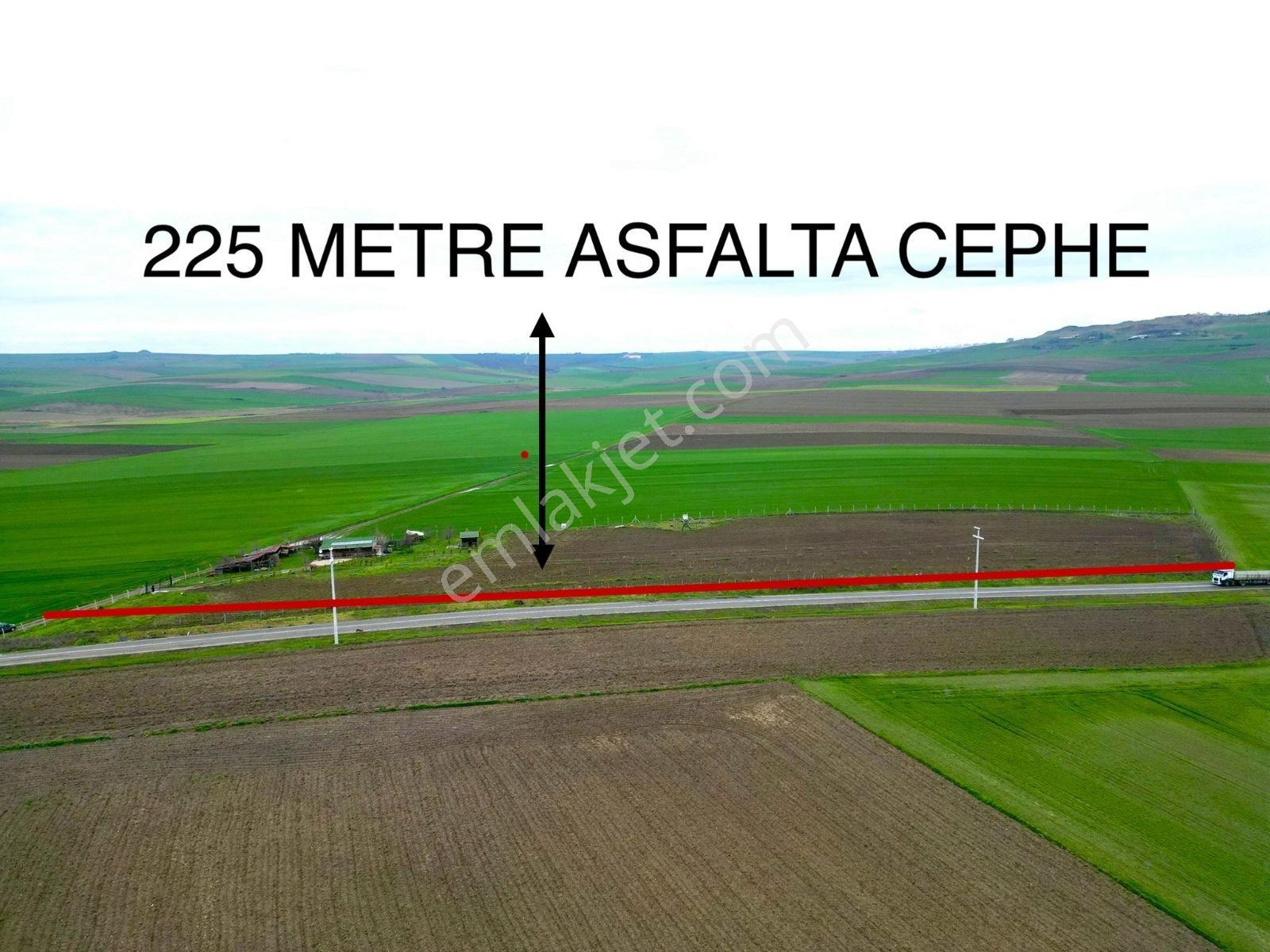 Çorlu Yenice Köynde Asfalta Cephe Satılık Ceviz Ve Meyve Bahçesi - Görsel 9