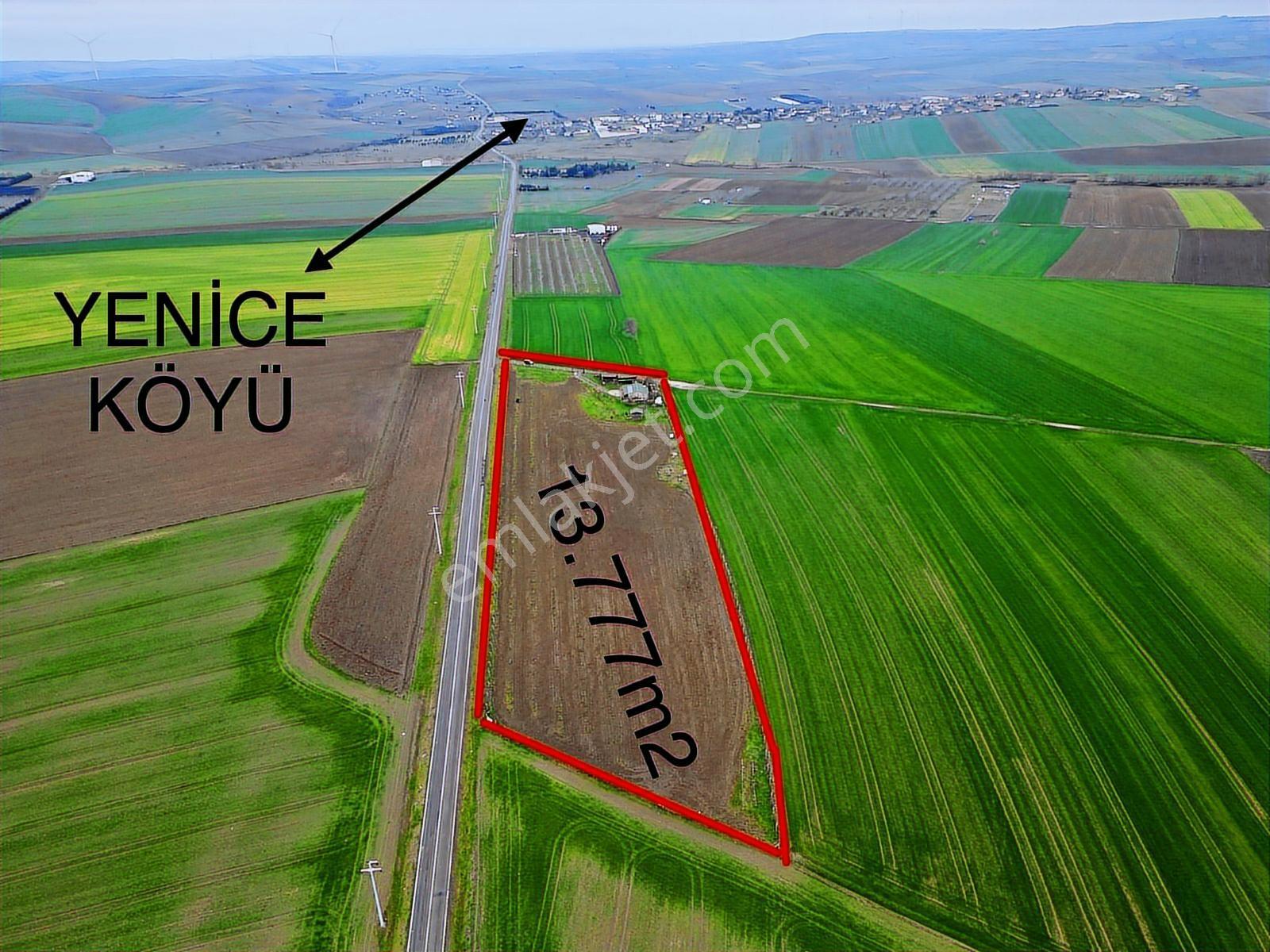 Çorlu Yenice Köynde Asfalta Cephe Satılık Ceviz Ve Meyve Bahçesi - Görsel 10