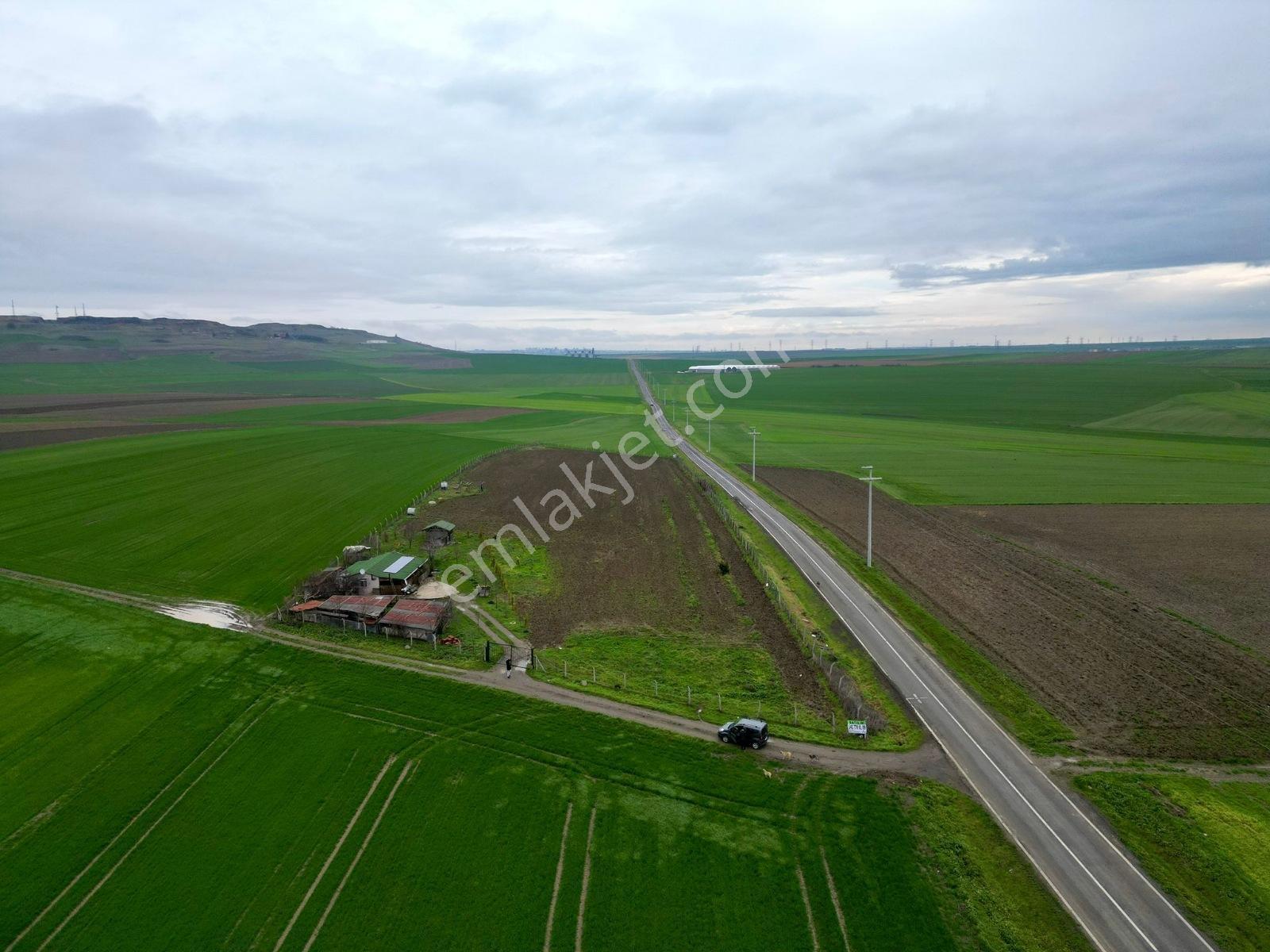 Çorlu Yenice Köynde Asfalta Cephe Satılık Ceviz Ve Meyve Bahçesi - Görsel 11