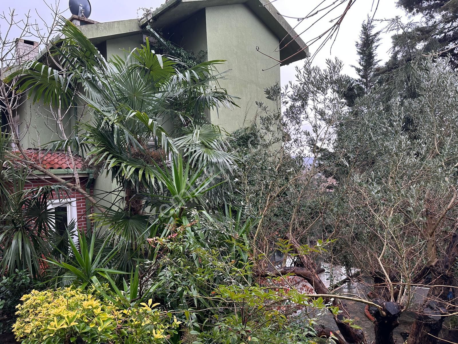 Ormanada Ya Komşu 6+2 Müstakil Site İçi Satılık Tripleks Villa