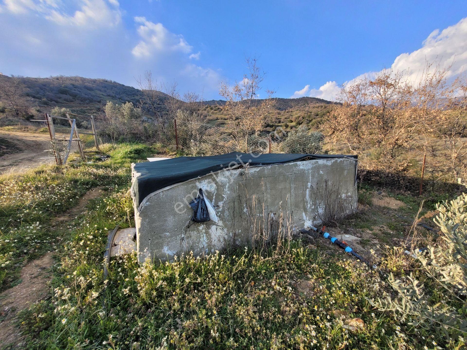 Meta'dan Yola Cephe 5037 M² Zeytin- İncir Bahçesi - Görsel 4