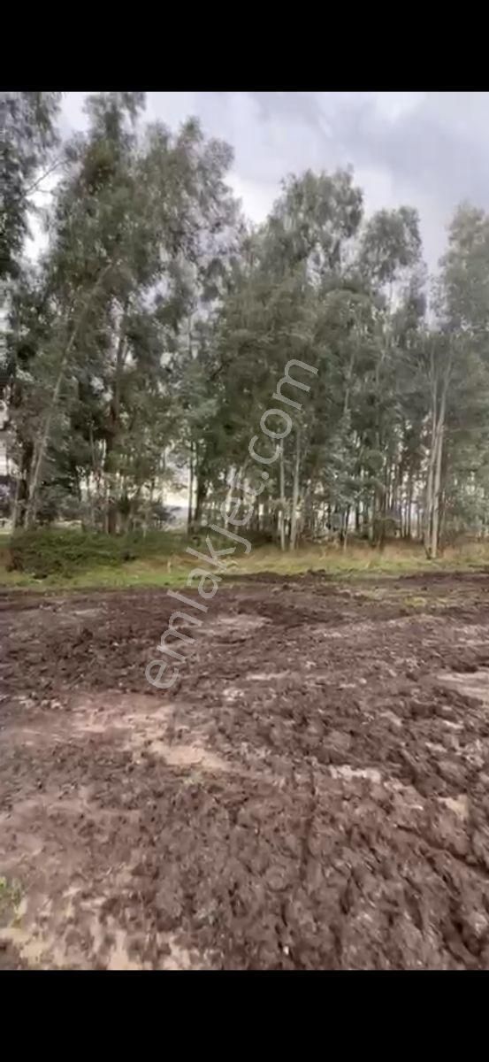 Seydikemer Ören Mah.ilkon'dan Satılık Arazi - Görsel 13