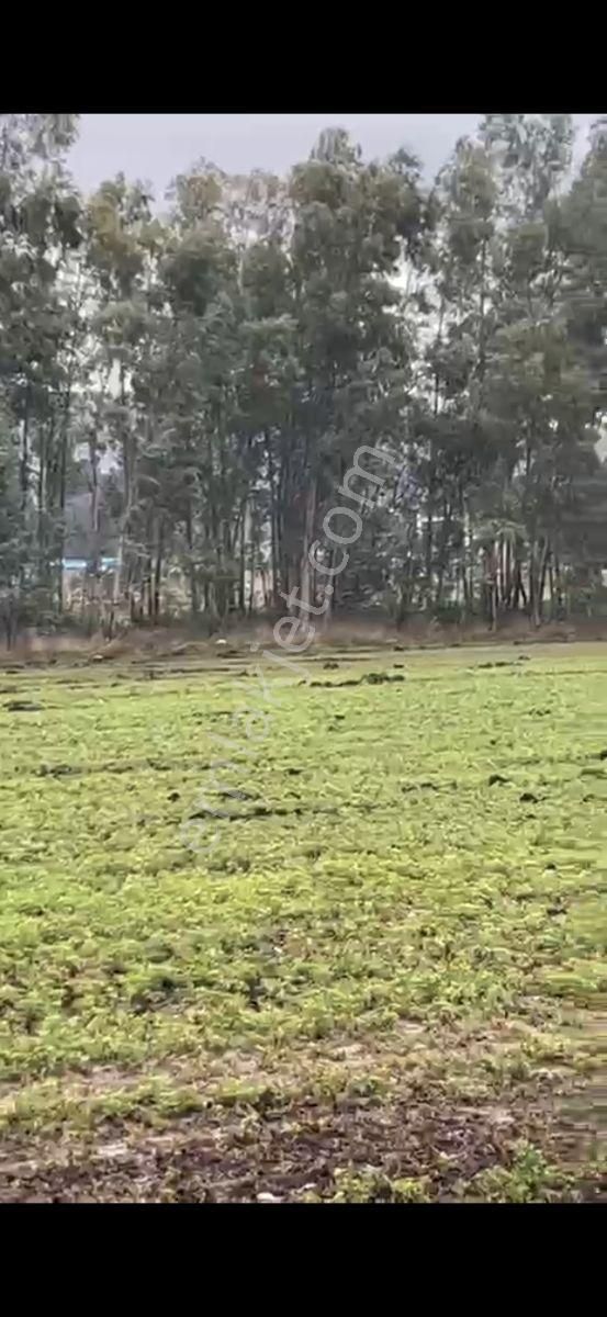 Seydikemer Ören Mah.ilkon'dan Satılık Arazi - Görsel 5