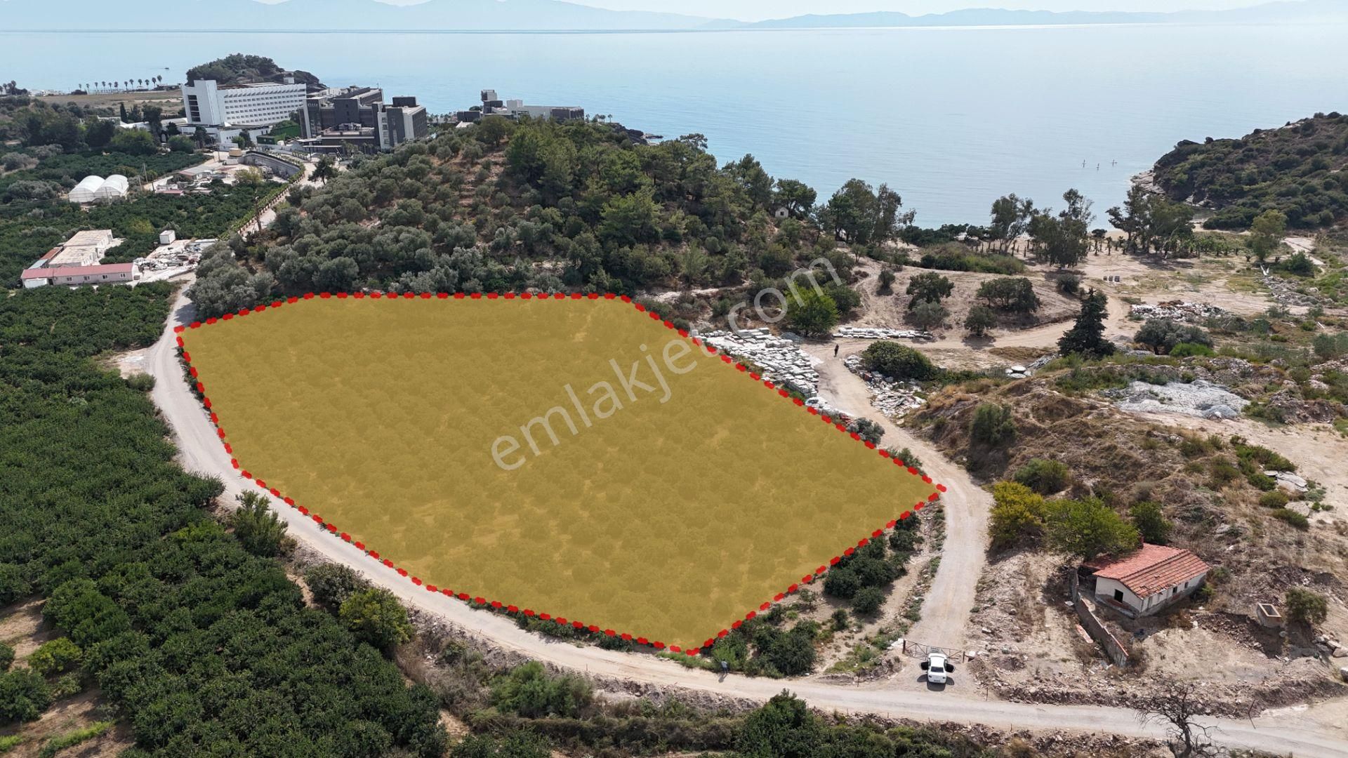 İzmir Menderes Özdere'de Plaja 100 M Köşe Parsel Tek Tapulu 9.727m² Satılık Tarla