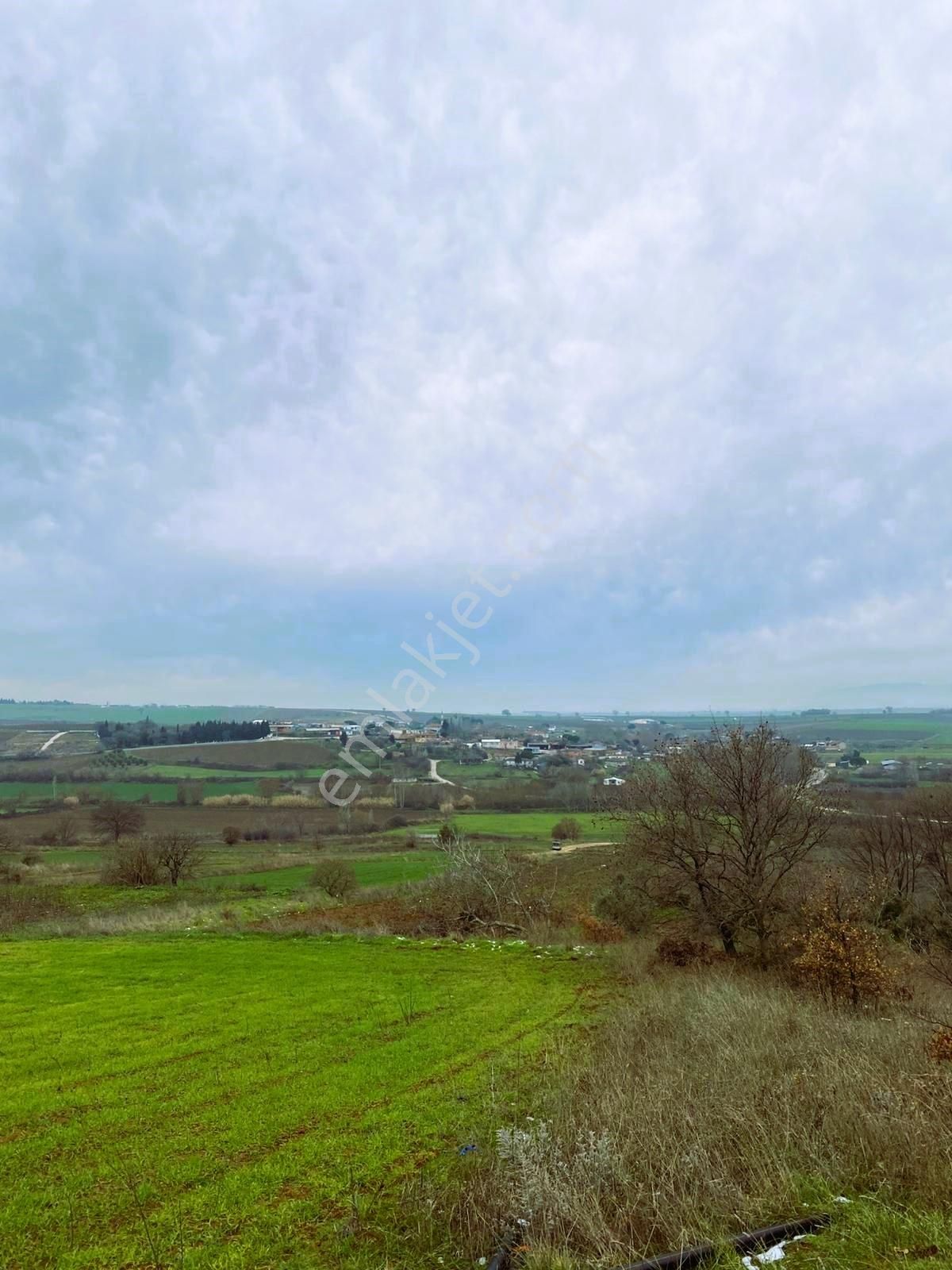 Bandırma Yeni Ziraatli Köyü 930 M2 Tek Tapu Satılık Tarla - Görsel 5