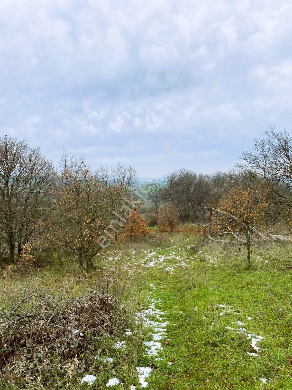 Bandırma Yeni Ziraatli Köyü 930 M2 Tek Tapu Satılık Tarla - Görsel 4