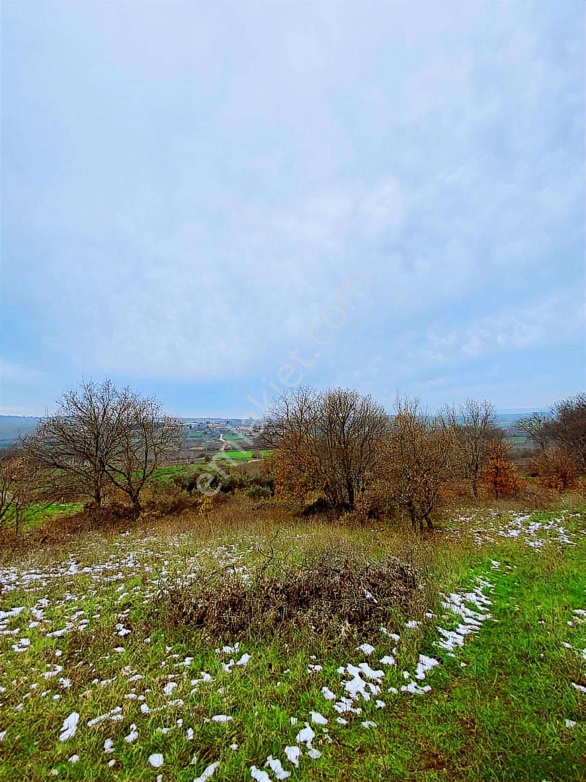 Bandırma Yeni Ziraatli Köyü 930 M2 Tek Tapu Satılık Tarla - Görsel 13