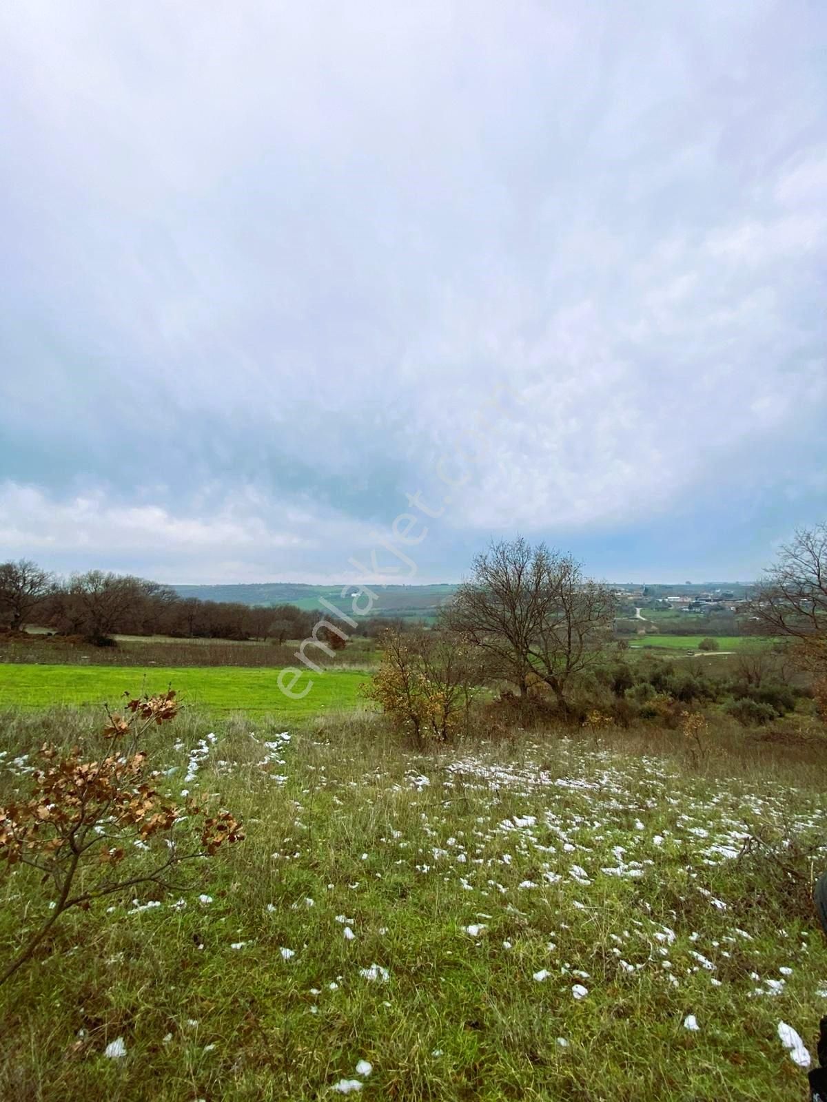 Bandırma Yeni Ziraatli Köyü 930 M2 Tek Tapu Satılık Tarla - Görsel 3