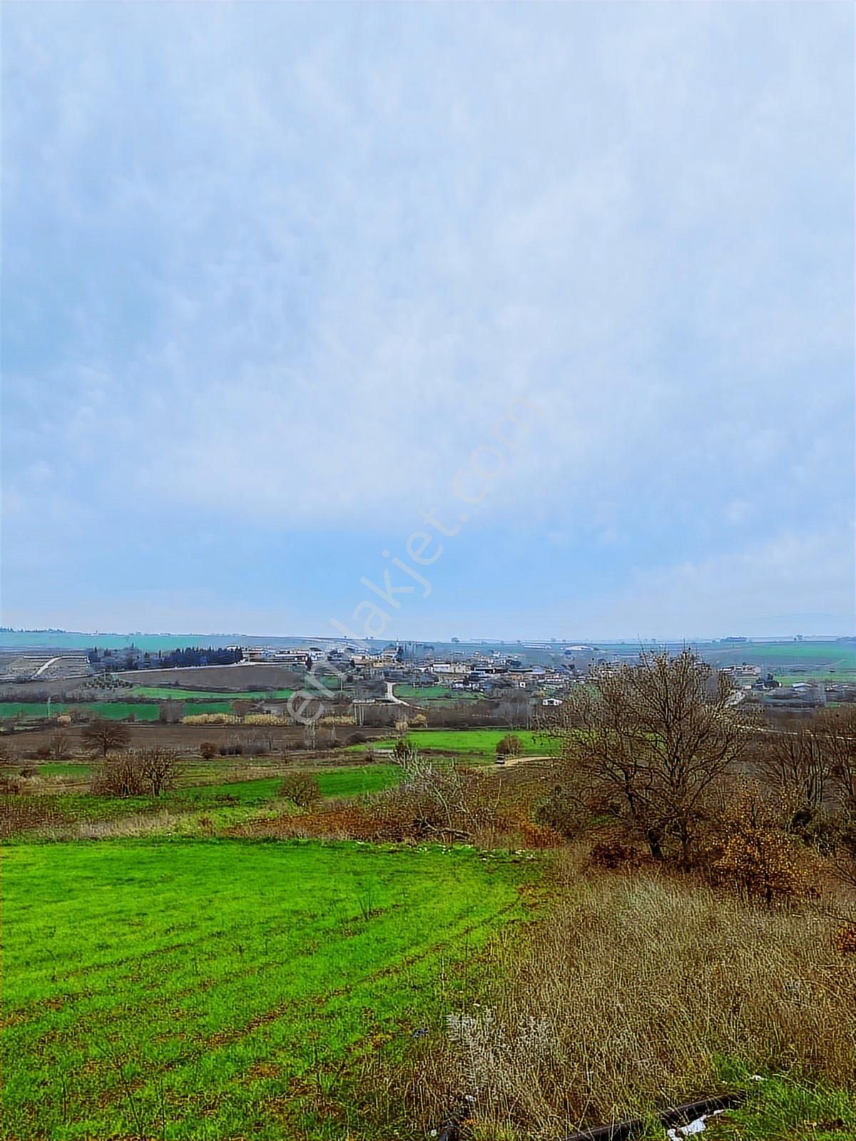 Bandırma Yeni Ziraatli Köyü 930 M2 Tek Tapu Satılık Tarla