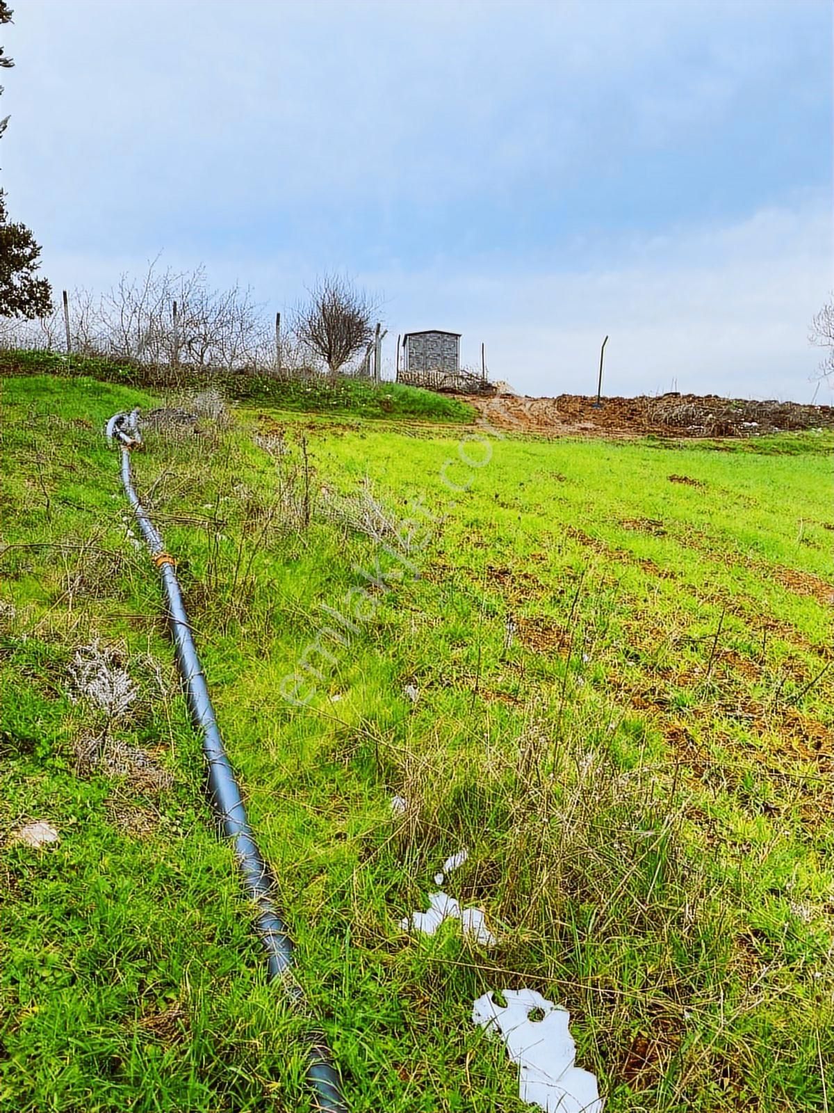 Bandırma Yeni Ziraatli Köyü 930 M2 Tek Tapu Satılık Tarla - Görsel 15