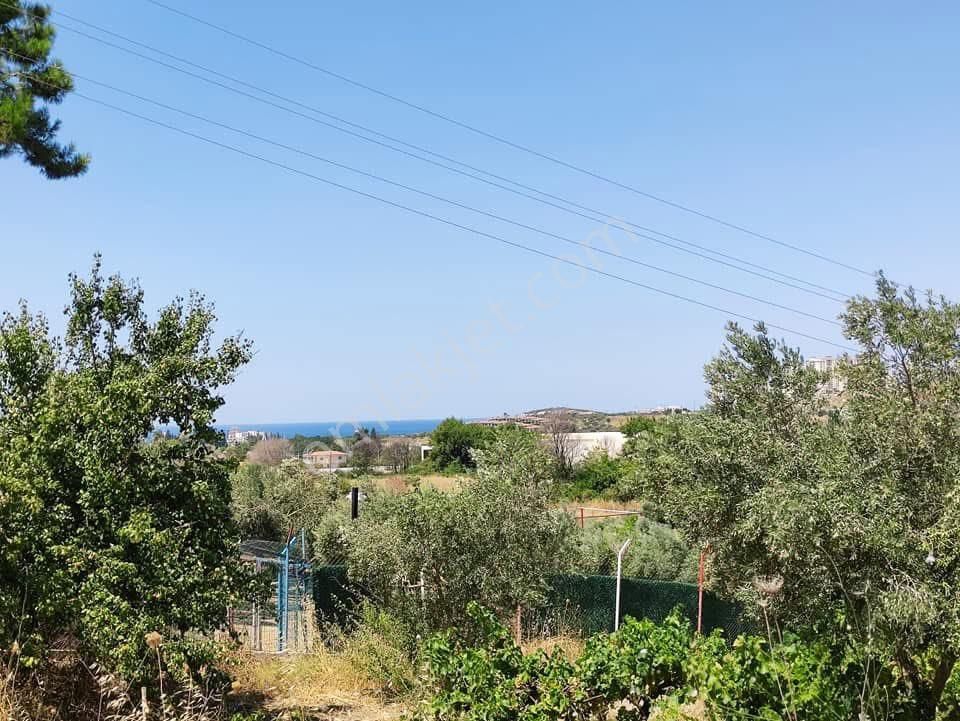 Yola Cepheli 9755m2 Tarla İmara Yakın Deniz Manzaralı - Görsel 8