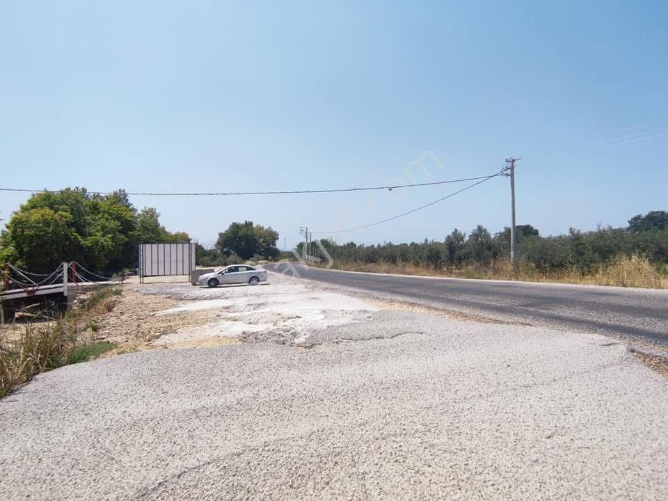 Yola Cepheli 9755m2 Tarla İmara Yakın Deniz Manzaralı - Görsel 2