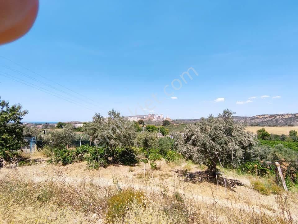 Yola Cepheli 9755m2 Tarla İmara Yakın Deniz Manzaralı - Görsel 7