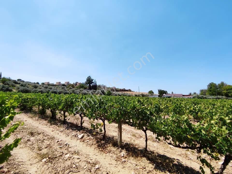 Yola Cepheli 9755m2 Tarla İmara Yakın Deniz Manzaralı - Görsel 11