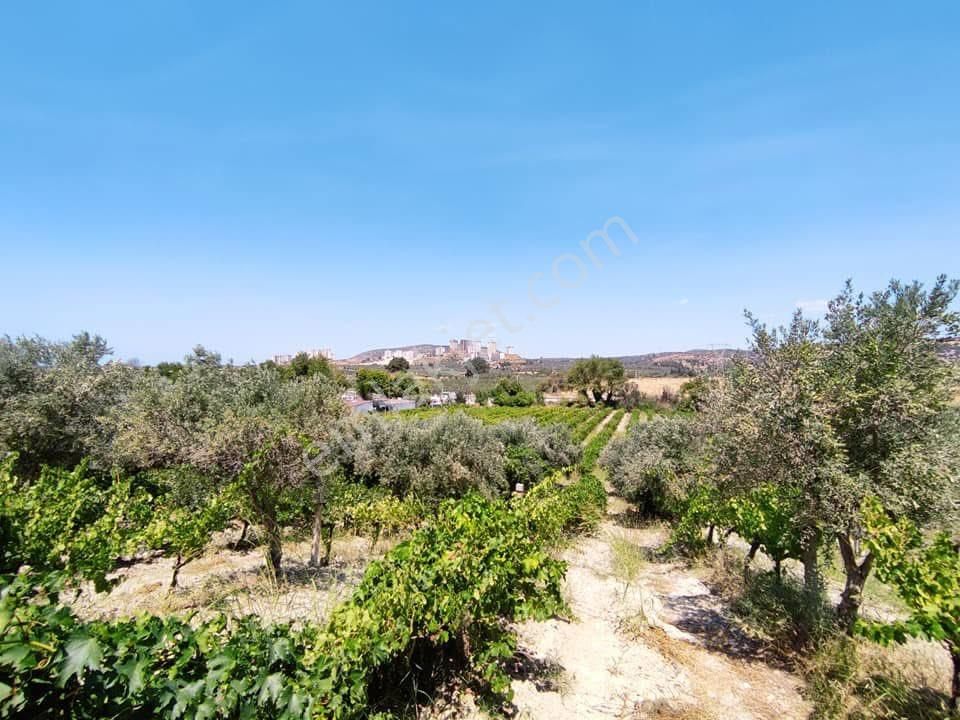 Yola Cepheli 9755m2 Tarla İmara Yakın Deniz Manzaralı - Görsel 4