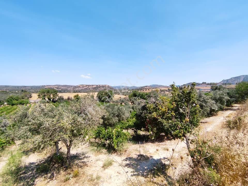 Yola Cepheli 9755m2 Tarla İmara Yakın Deniz Manzaralı - Görsel 5