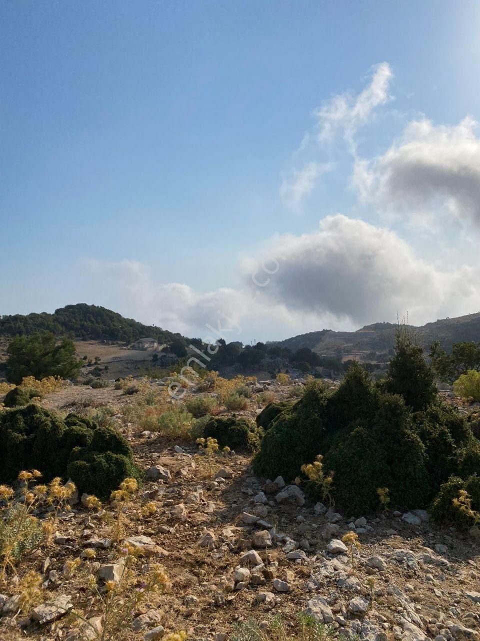 Acil Acil Muğla Fethiye Karaağaç Mah 755 M2 İçinde Müstakil Ev - Görsel 2