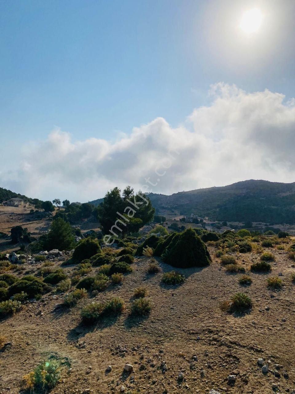 Acil Acil Muğla Fethiye Karaağaç Mah 755 M2 İçinde Müstakil Ev - Görsel 3