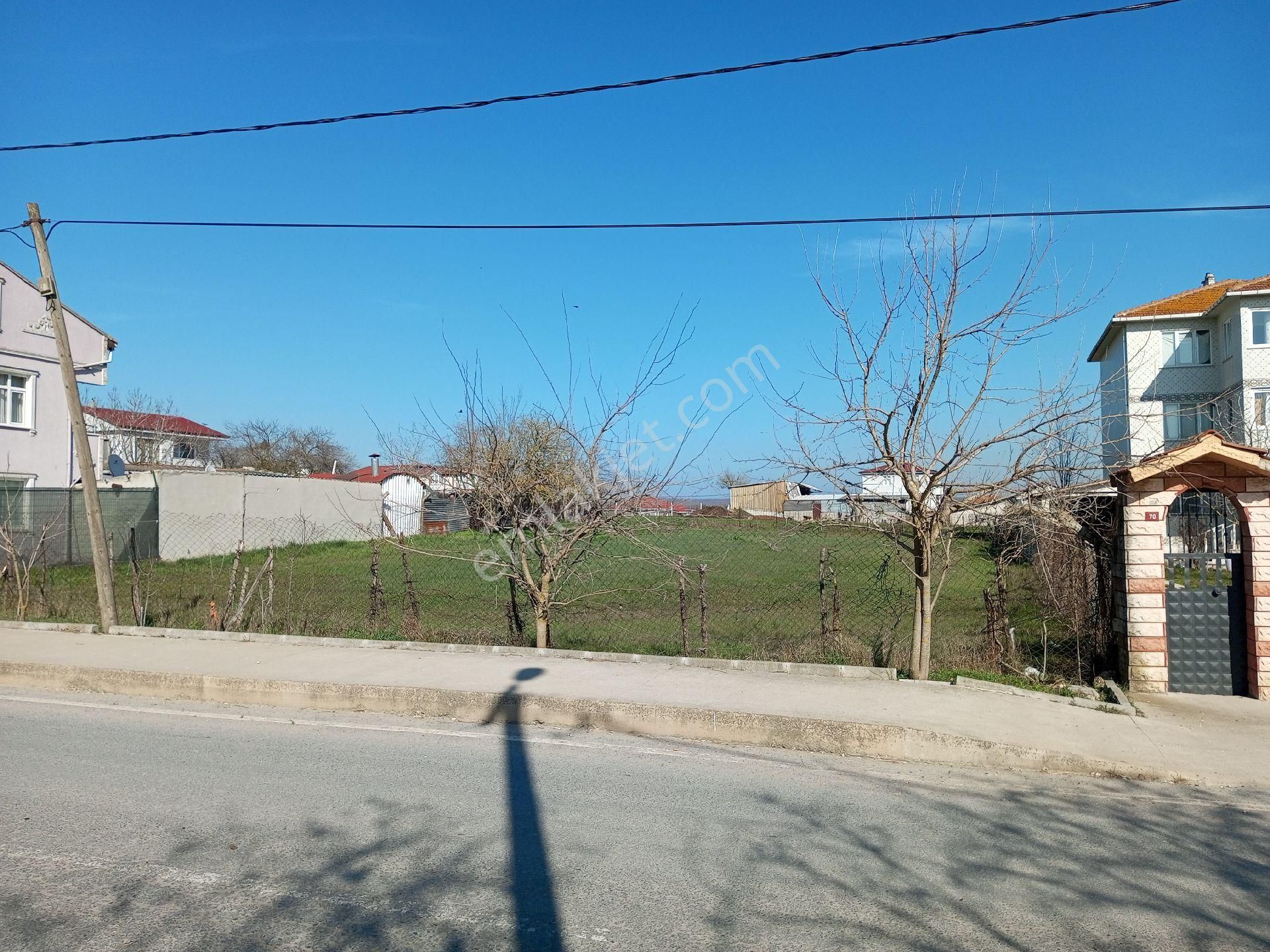 Ege Gayrimenkul Silivri Beycilerde 1000 M2 Arsa - Görsel 5