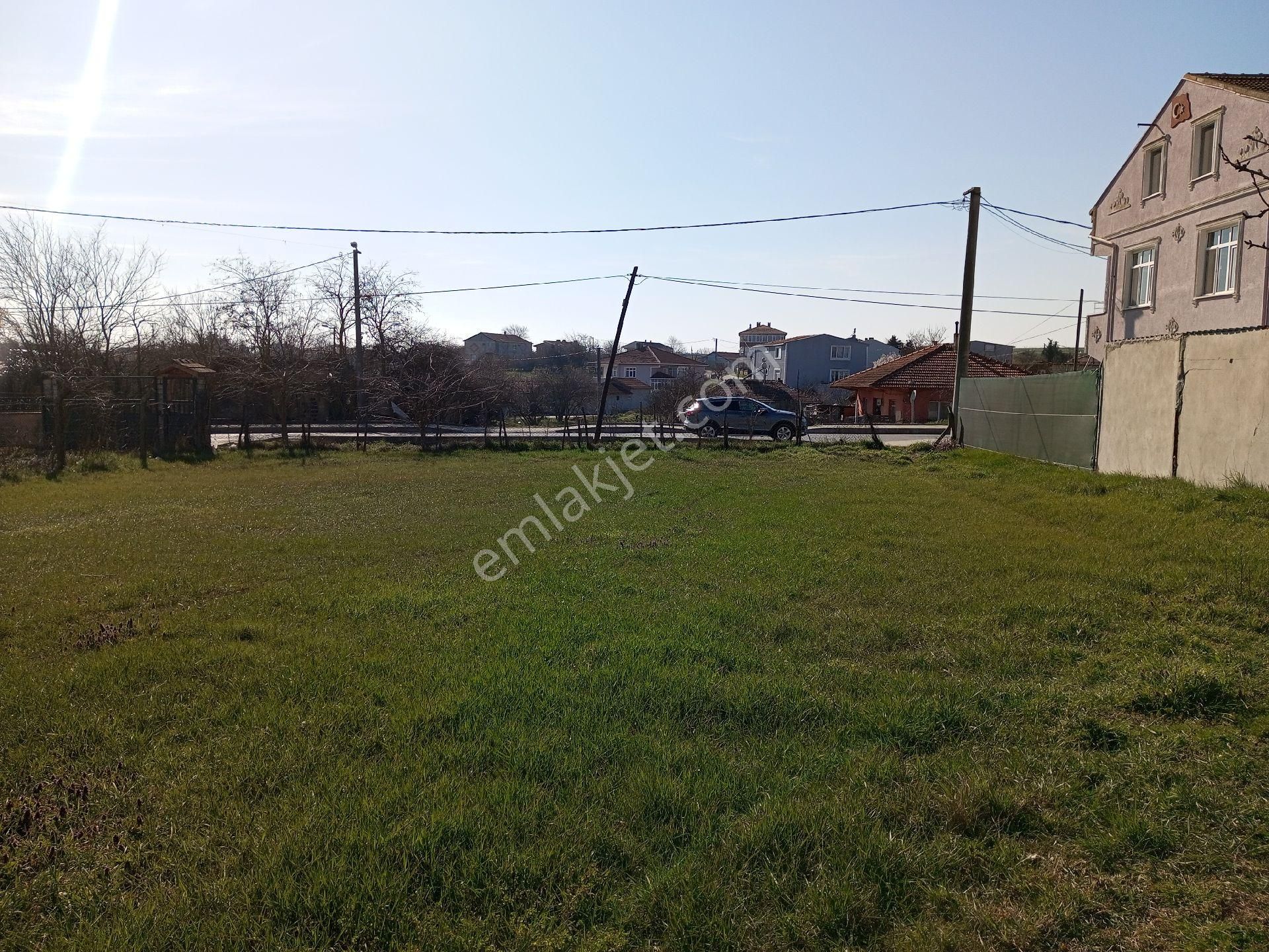 Ege Gayrimenkul Silivri Beycilerde 1000 M2 Arsa - Görsel 3