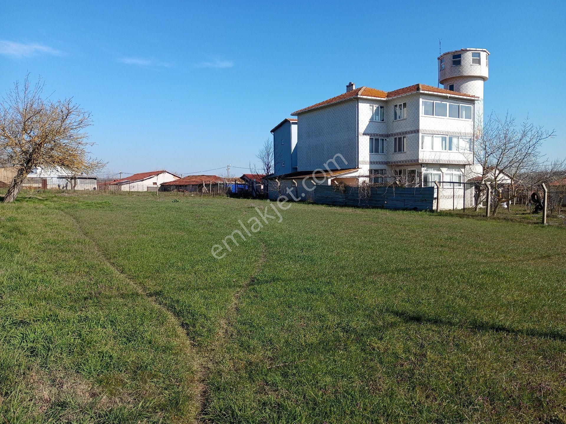 Ege Gayrimenkul Silivri Beycilerde 1000 M2 Arsa - Görsel 2