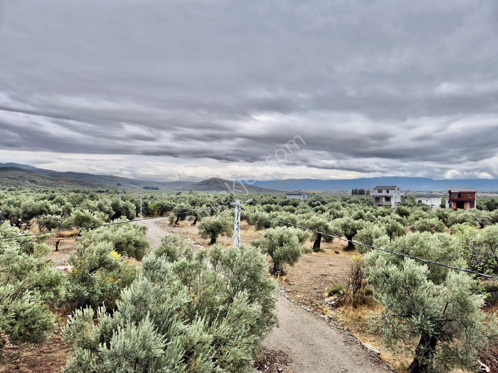 ▓karabuluttan▓yatırım & Doğanın İçindeki Huzurlu Yaşam 5+1 Villa - Görsel 9