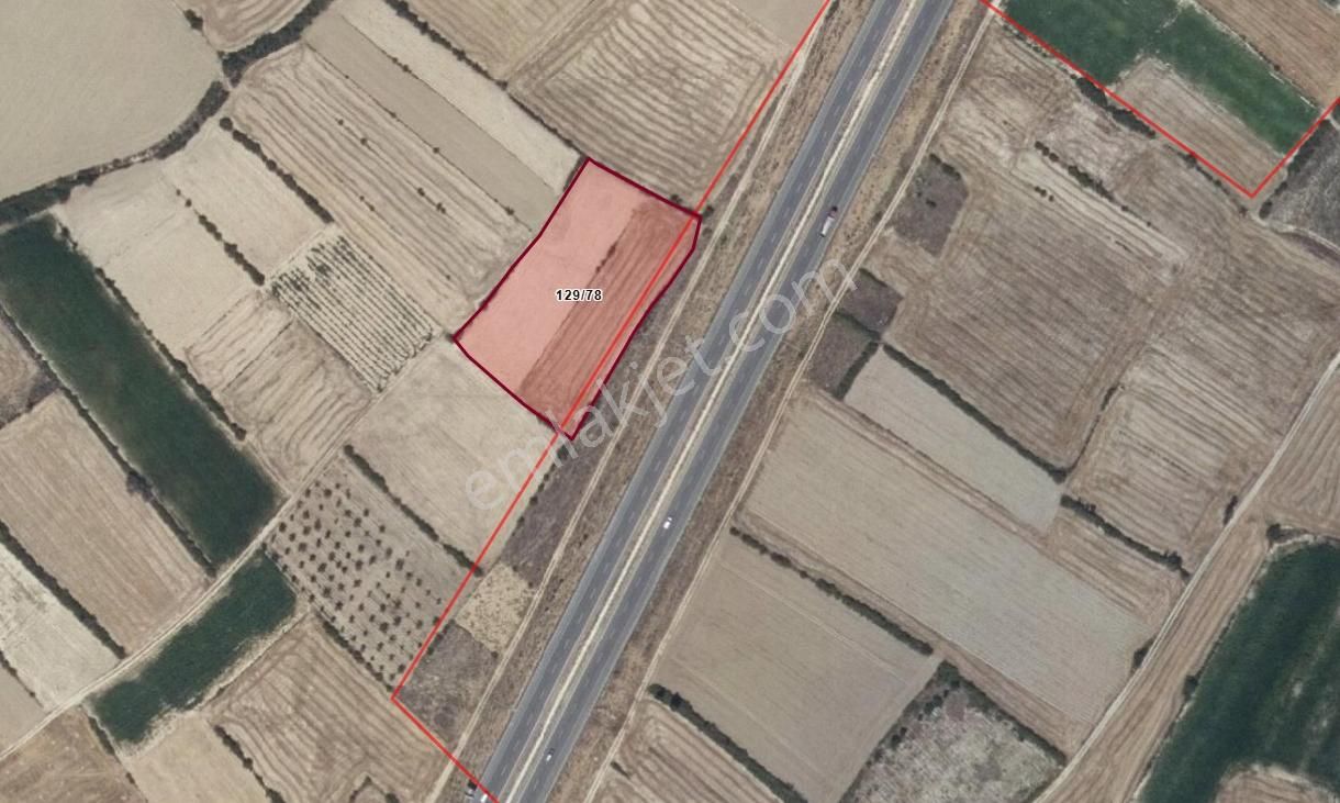 Konya Akşehir Adsız Mah 6.167 M2 Asfalt Cepheli Tarla - Görsel 7