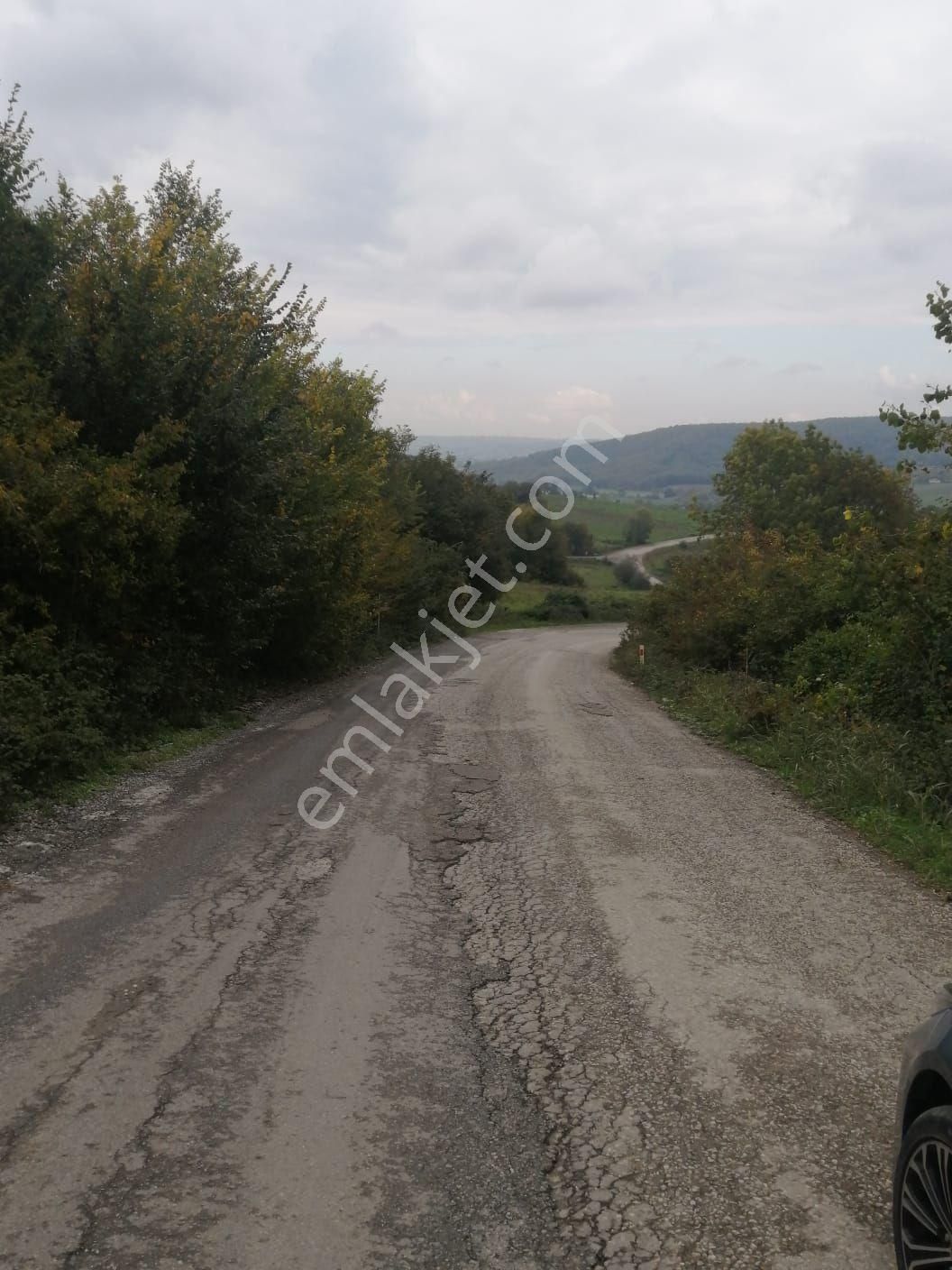 Satılık 5 Dönüm Tarla Bafra Azay Yolu Üzeri - Görsel 12