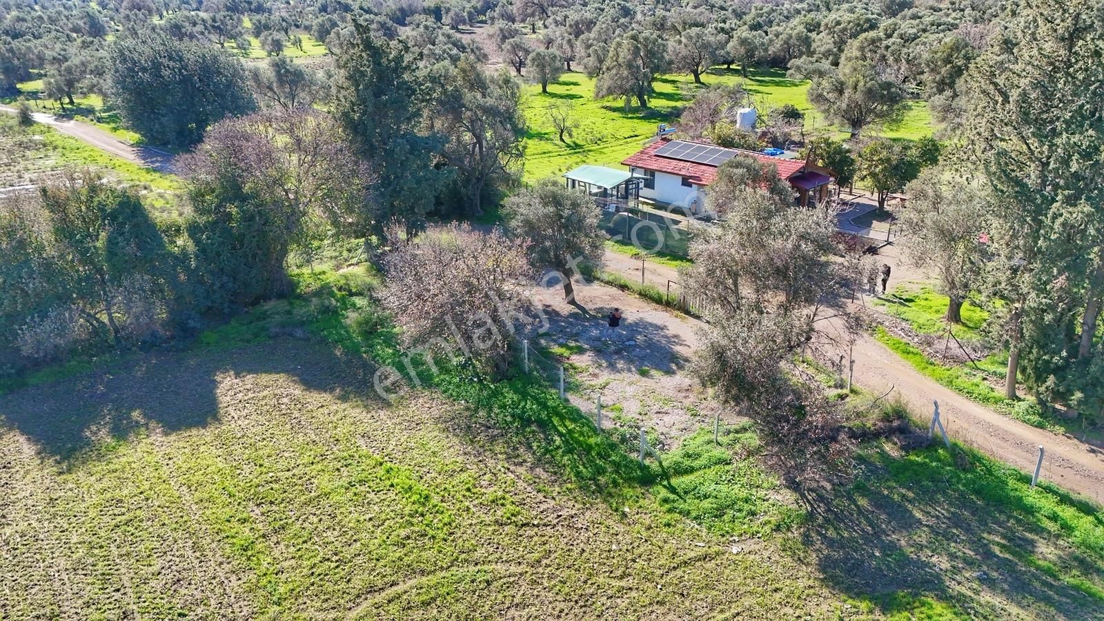 Datça Kızlanda Yola Cepheli, Tıny House Uygun, Düz Zemin Tarla - Görsel 31