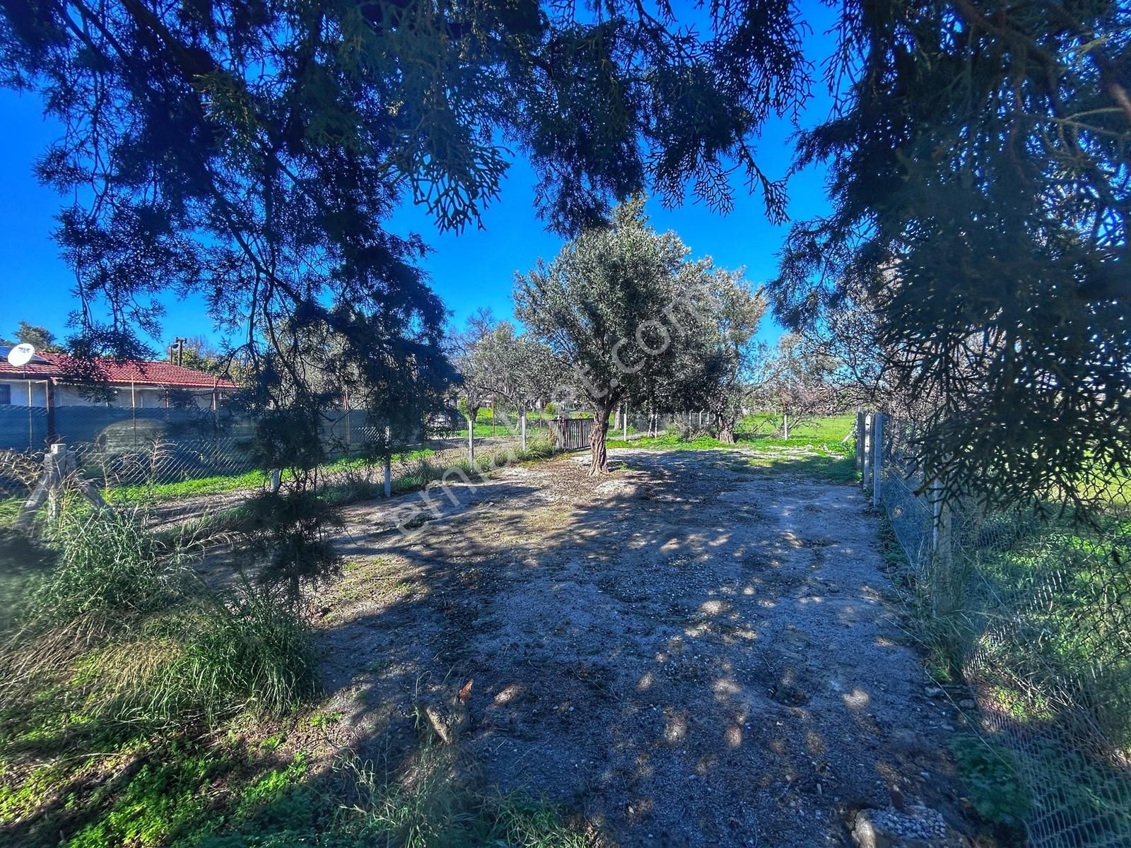 Datça Kızlanda Yola Cepheli, Tıny House Uygun, Düz Zemin Tarla - Görsel 9