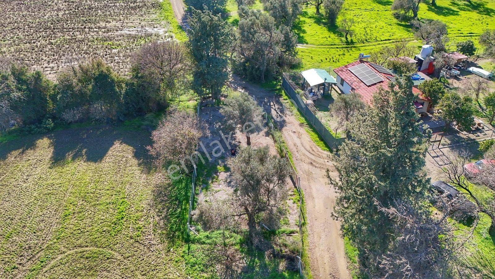 Datça Kızlanda Yola Cepheli, Tıny House Uygun, Düz Zemin Tarla - Görsel 27