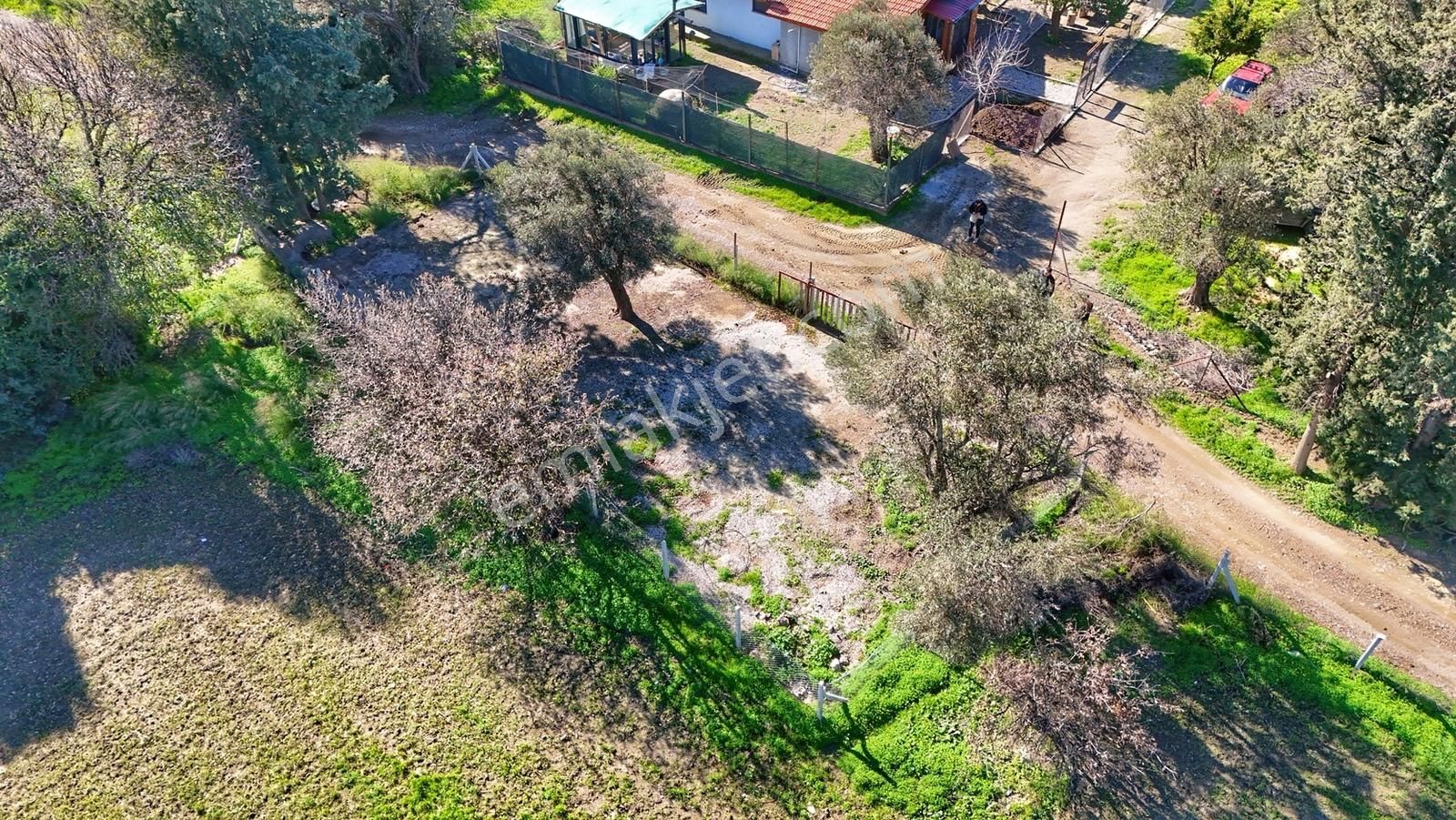 Datça Kızlanda Yola Cepheli, Tıny House Uygun, Düz Zemin Tarla - Görsel 33