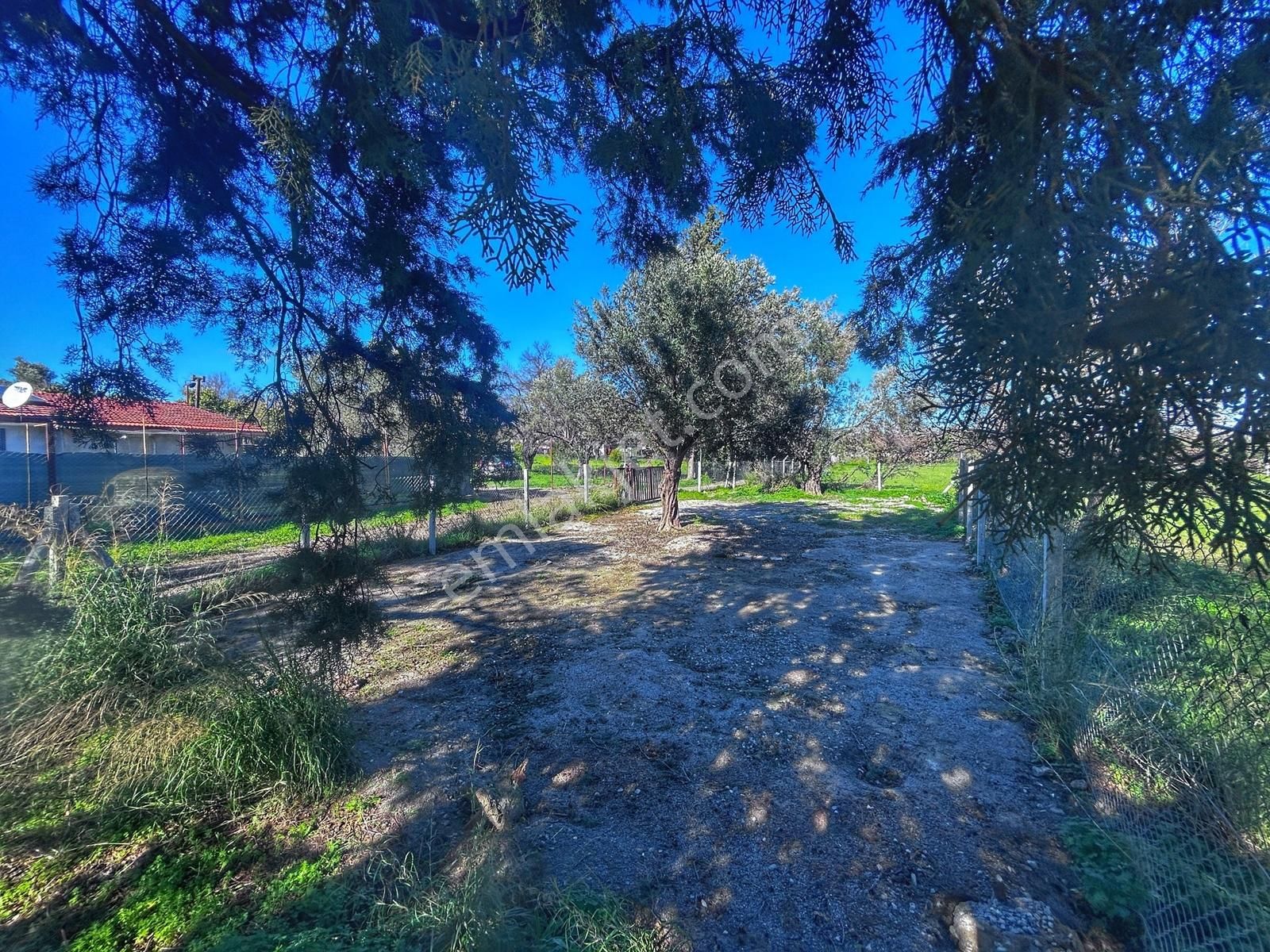 Datça Kızlanda Yola Cepheli, Tıny House Uygun, Düz Zemin Tarla - Görsel 22