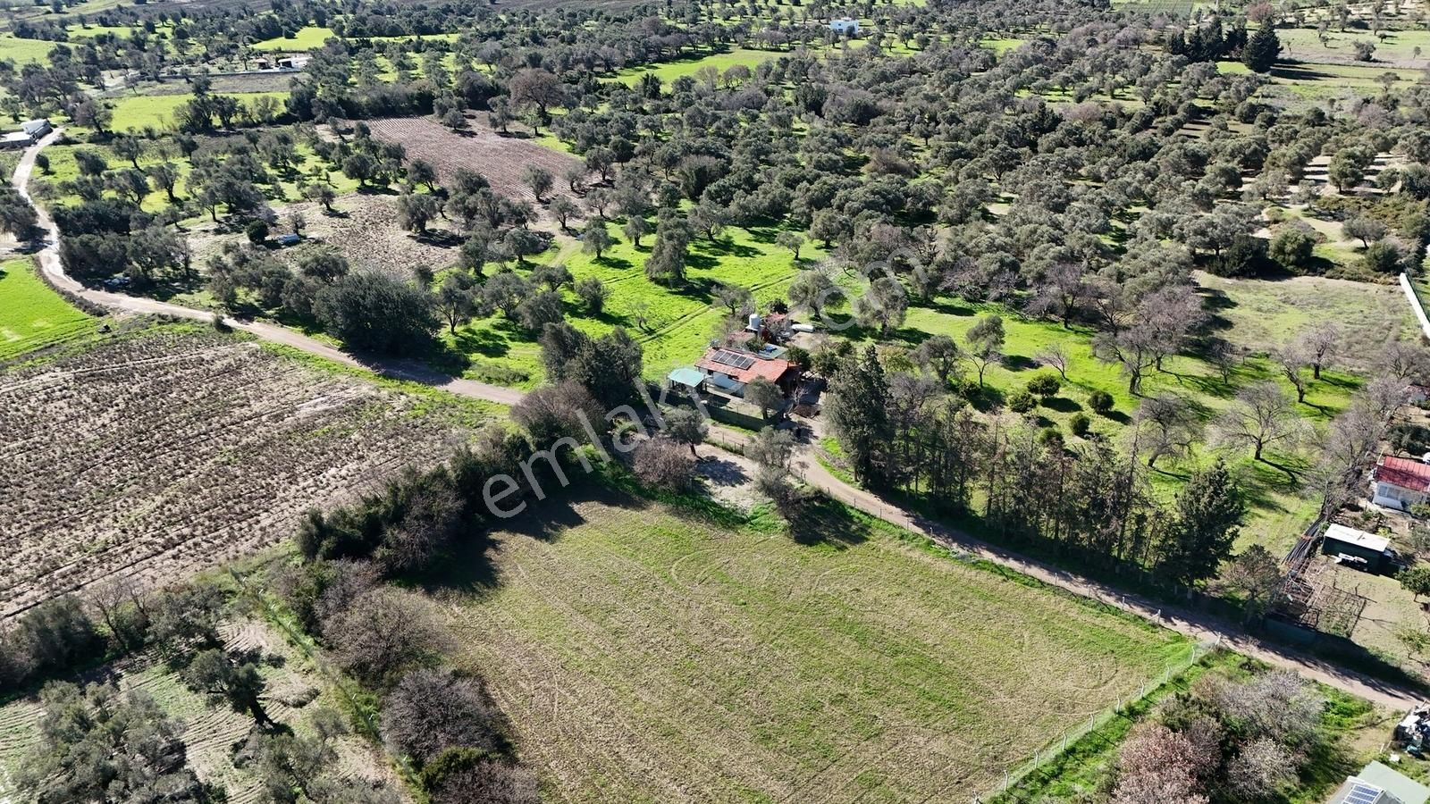 Datça Kızlanda Yola Cepheli, Tıny House Uygun, Düz Zemin Tarla - Görsel 11