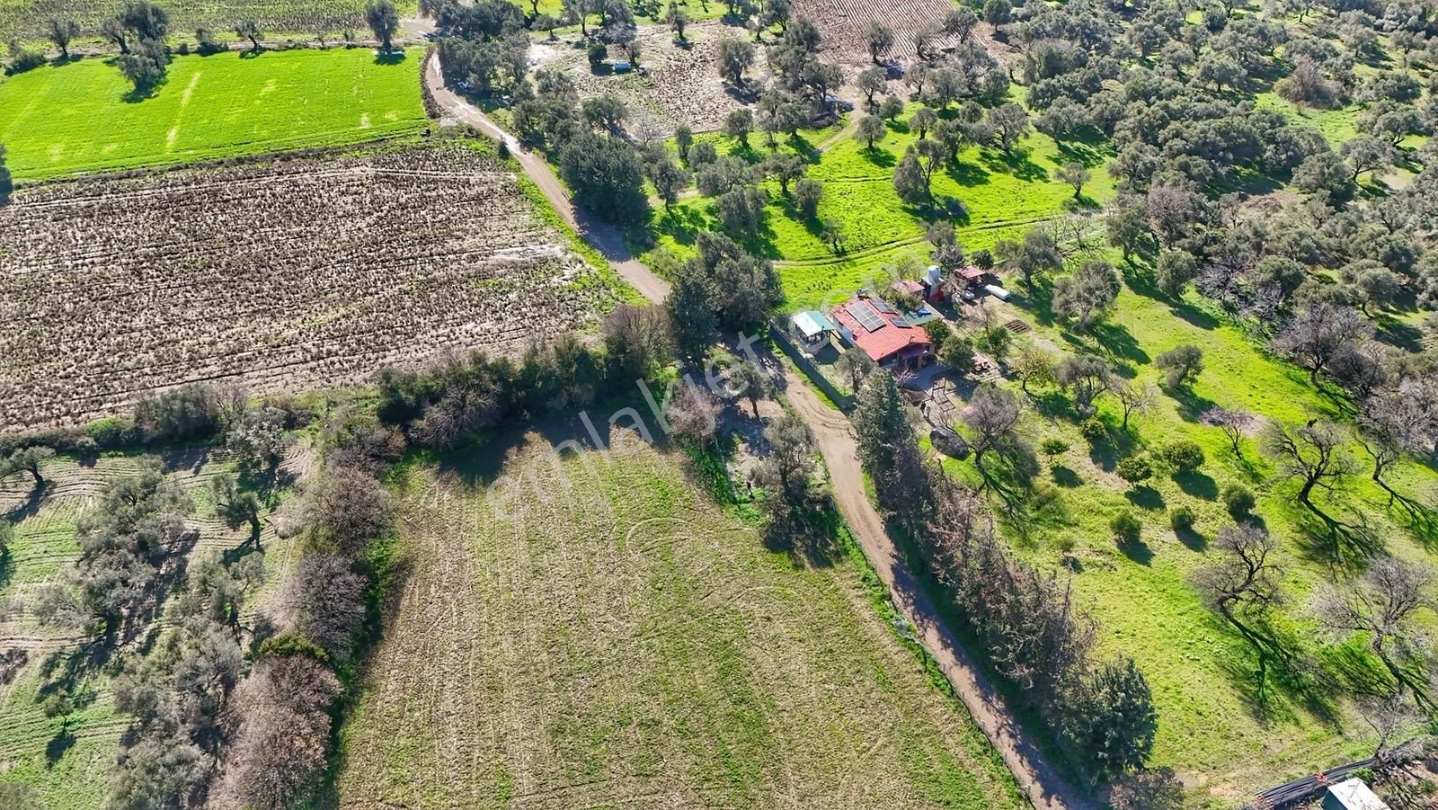 Datça Kızlanda Yola Cepheli, Tıny House Uygun, Düz Zemin Tarla - Görsel 25