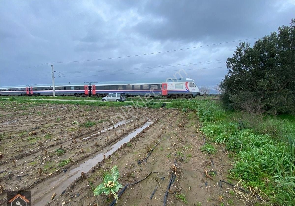 Günay Emlak'tan Bayındır Canlı Karaveliler Mahallesi 9.850 M2 Satılık Zeytin Ağaçlı Bahçe
