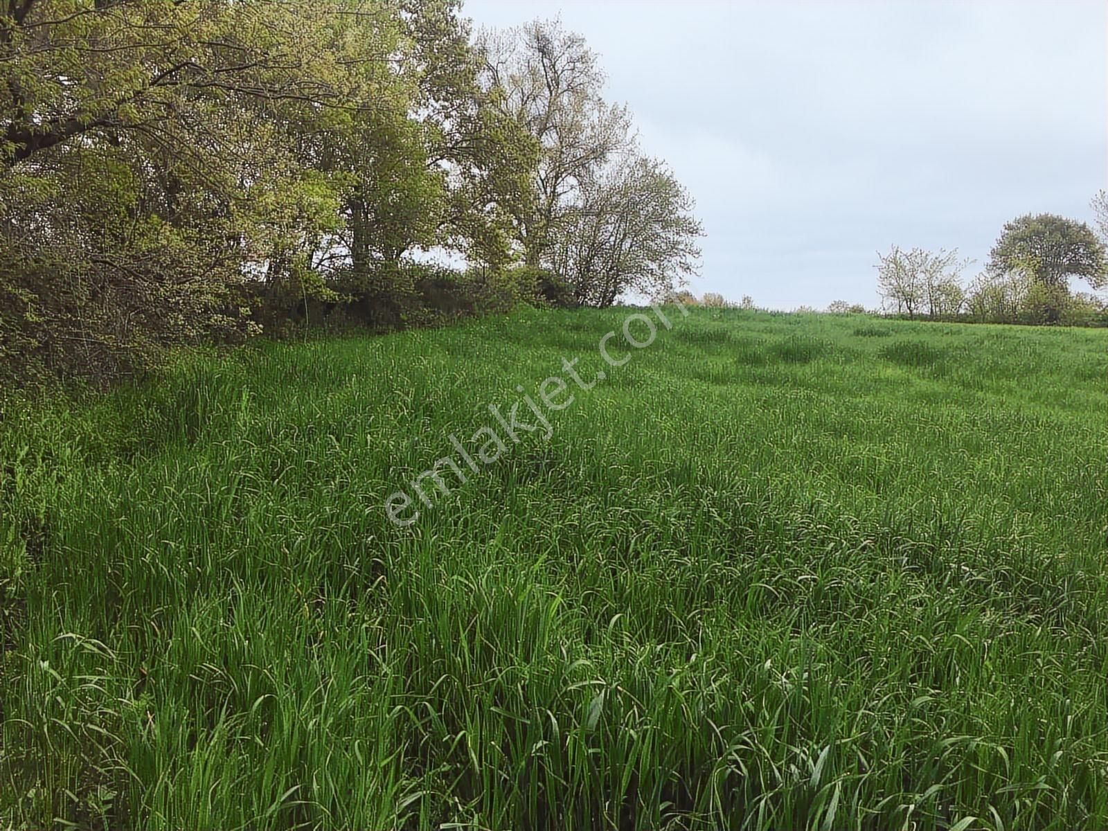 Deniz Manzaralı Doğa İçinde Satılık Tarla