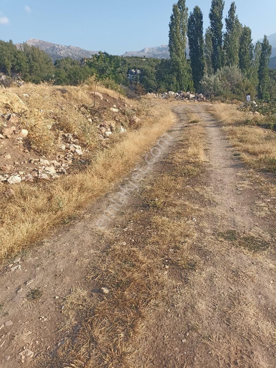 Muğla Seydikemer Seki İmarlı Parsel 595 M2 Satılı - Görsel 5